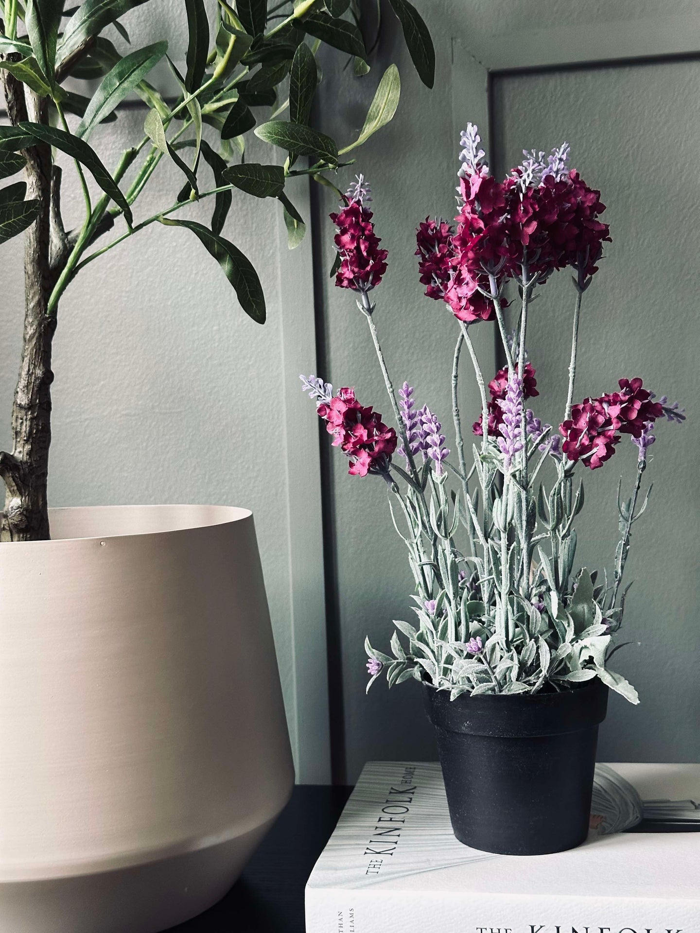 Lavendel 40cm - Himbeere