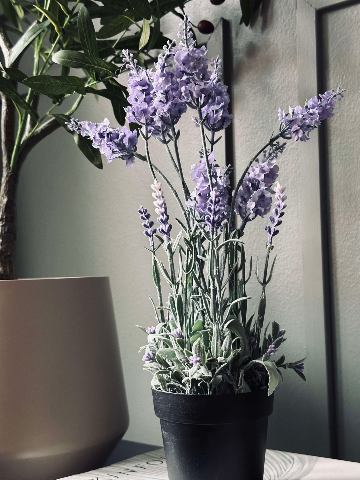 Lavendel 40cm - Helllila