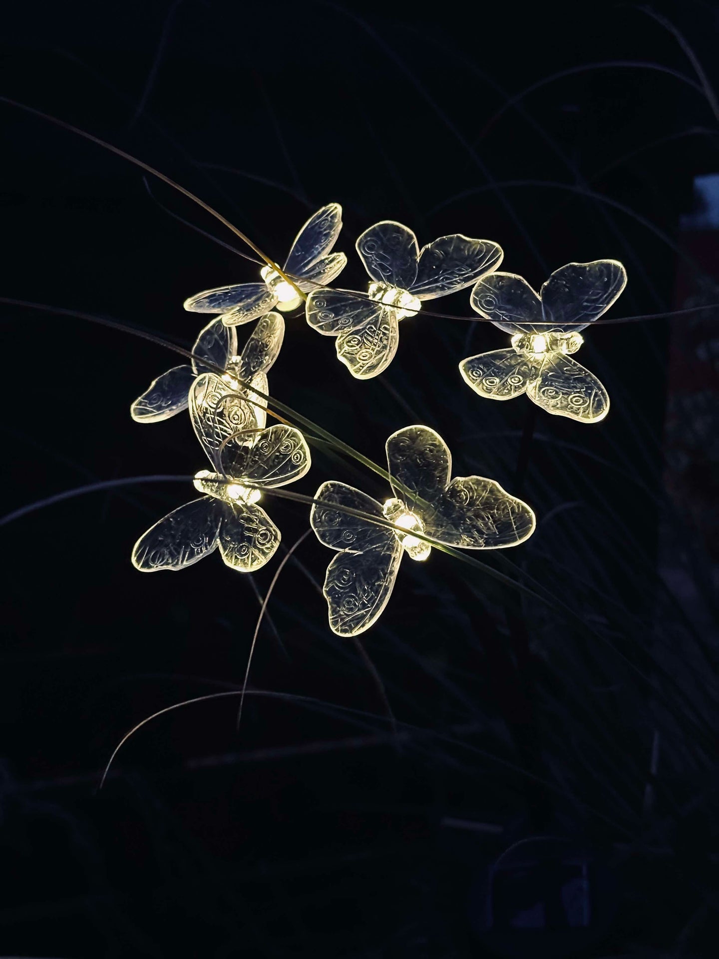 Solarbouquet mit Schmetterlingen