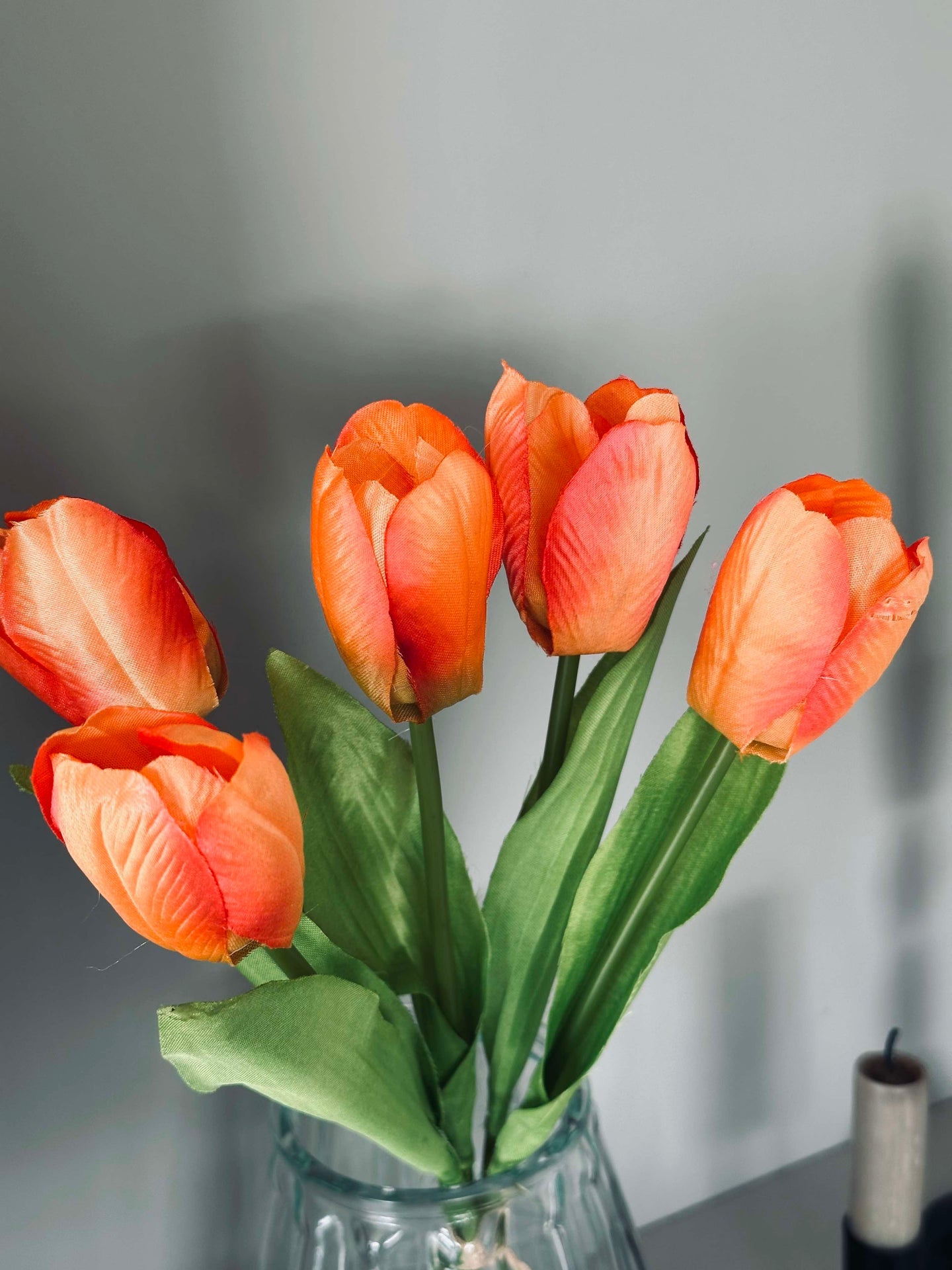 Tulpen Orange