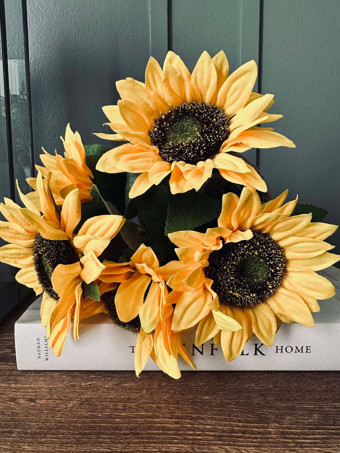Sonnenblume im Topf