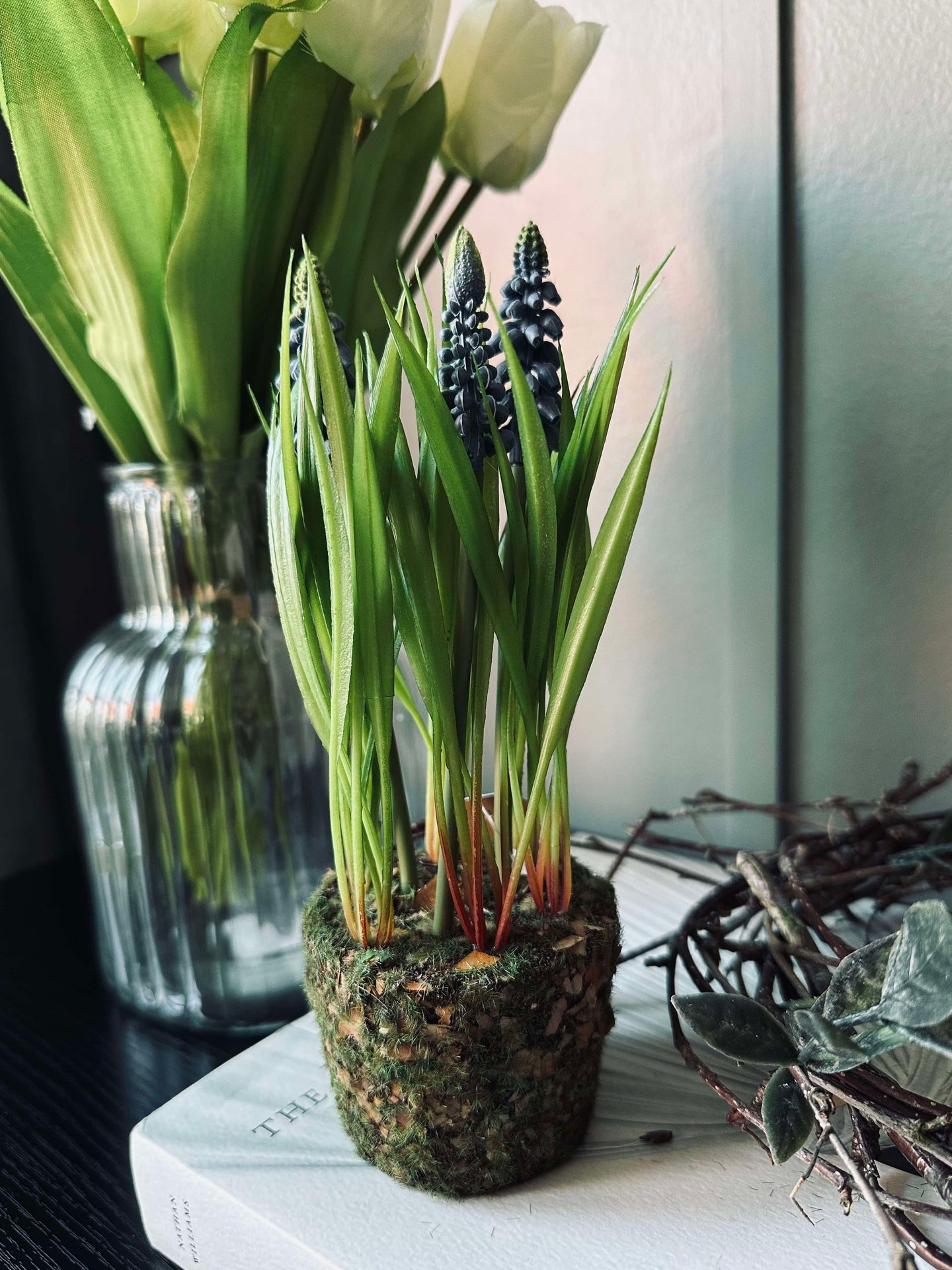 Blume Perlenhyazinthe