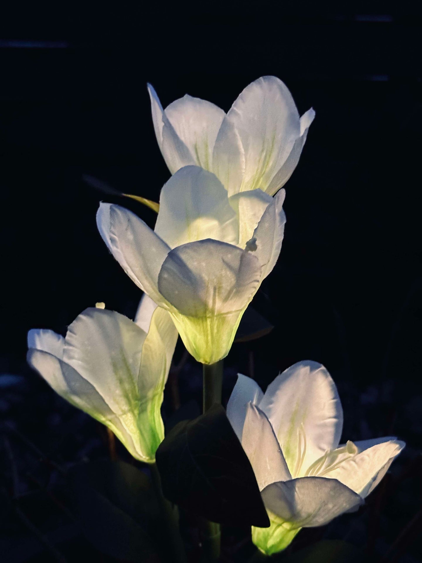 Magnolie mit Solarzellen - Weiß