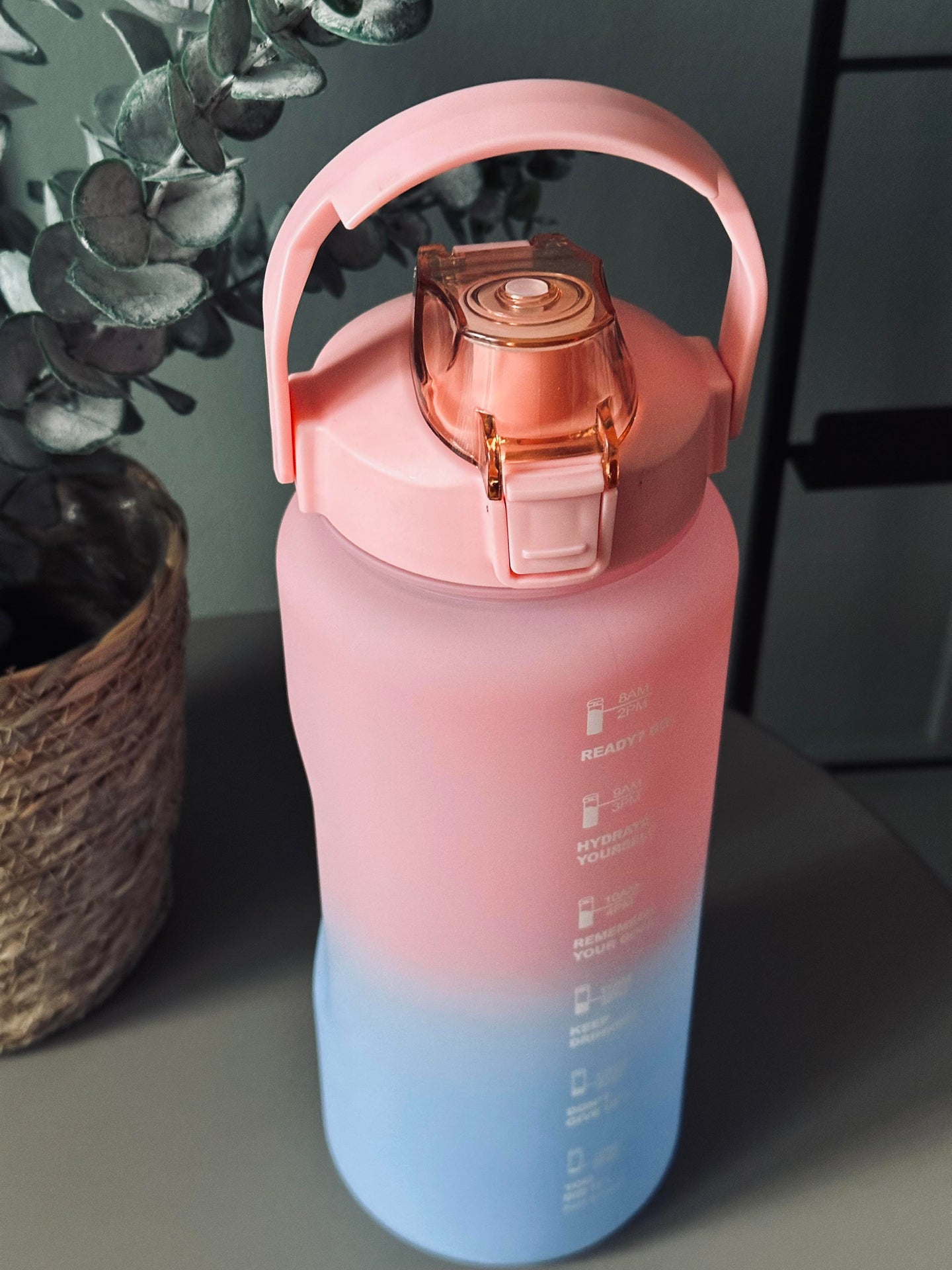 Trinkflasche 2000 ml - Pink / Blau