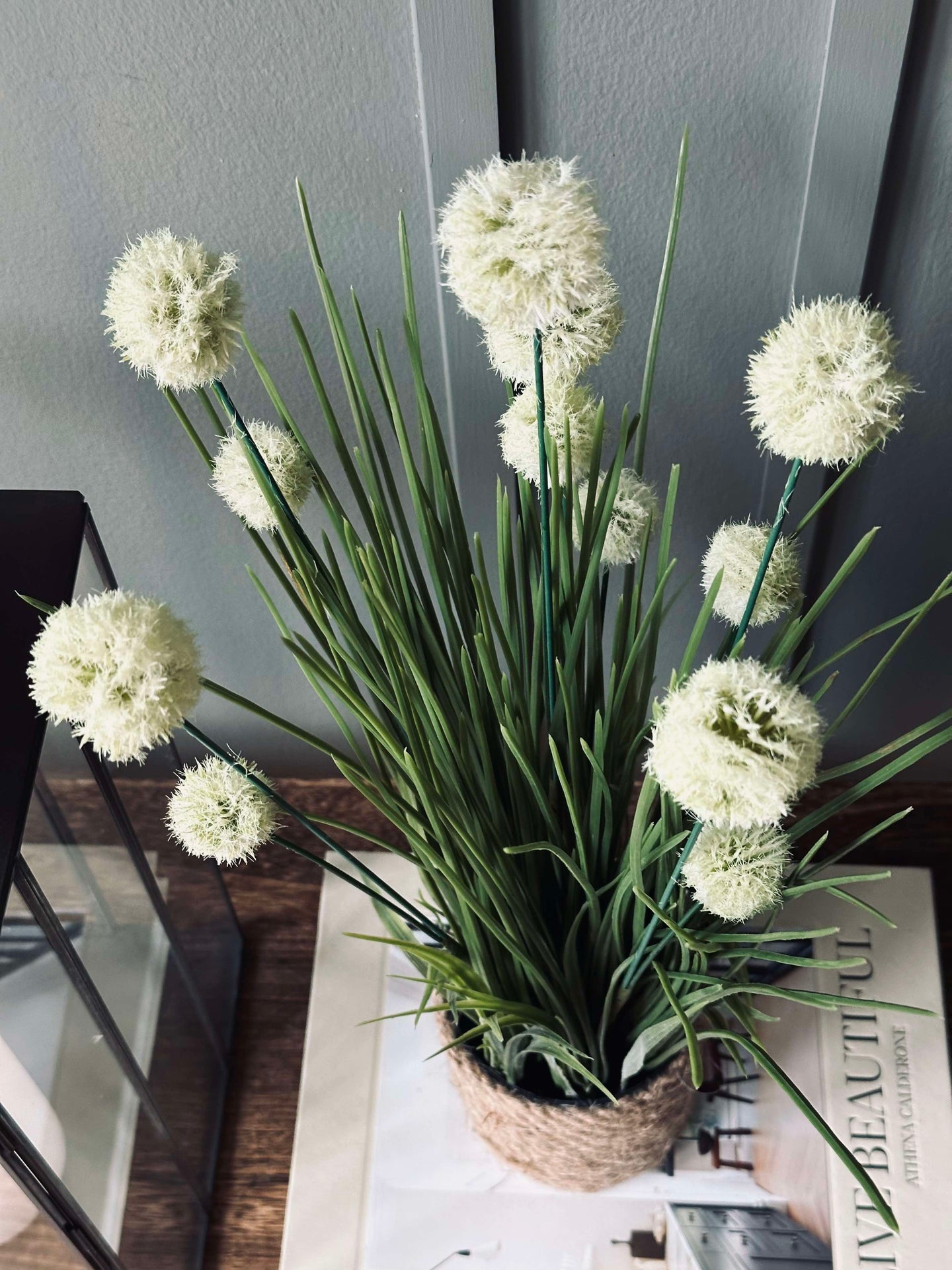Blume im Topf