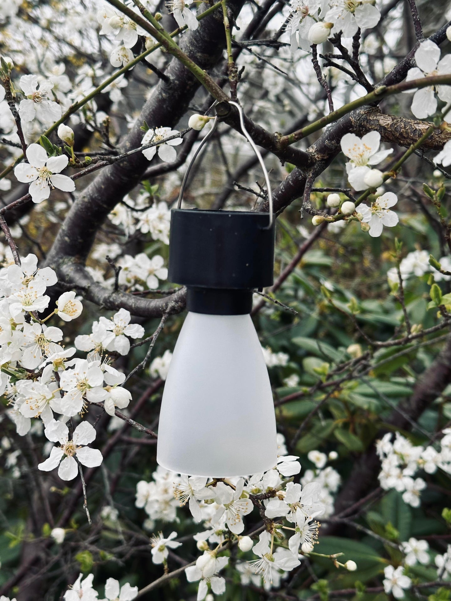 Mini-Lampe mit Solar