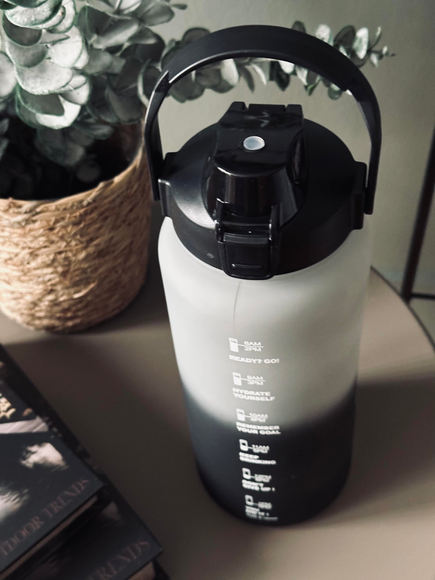 Trinkflasche 2000 ml - Stone