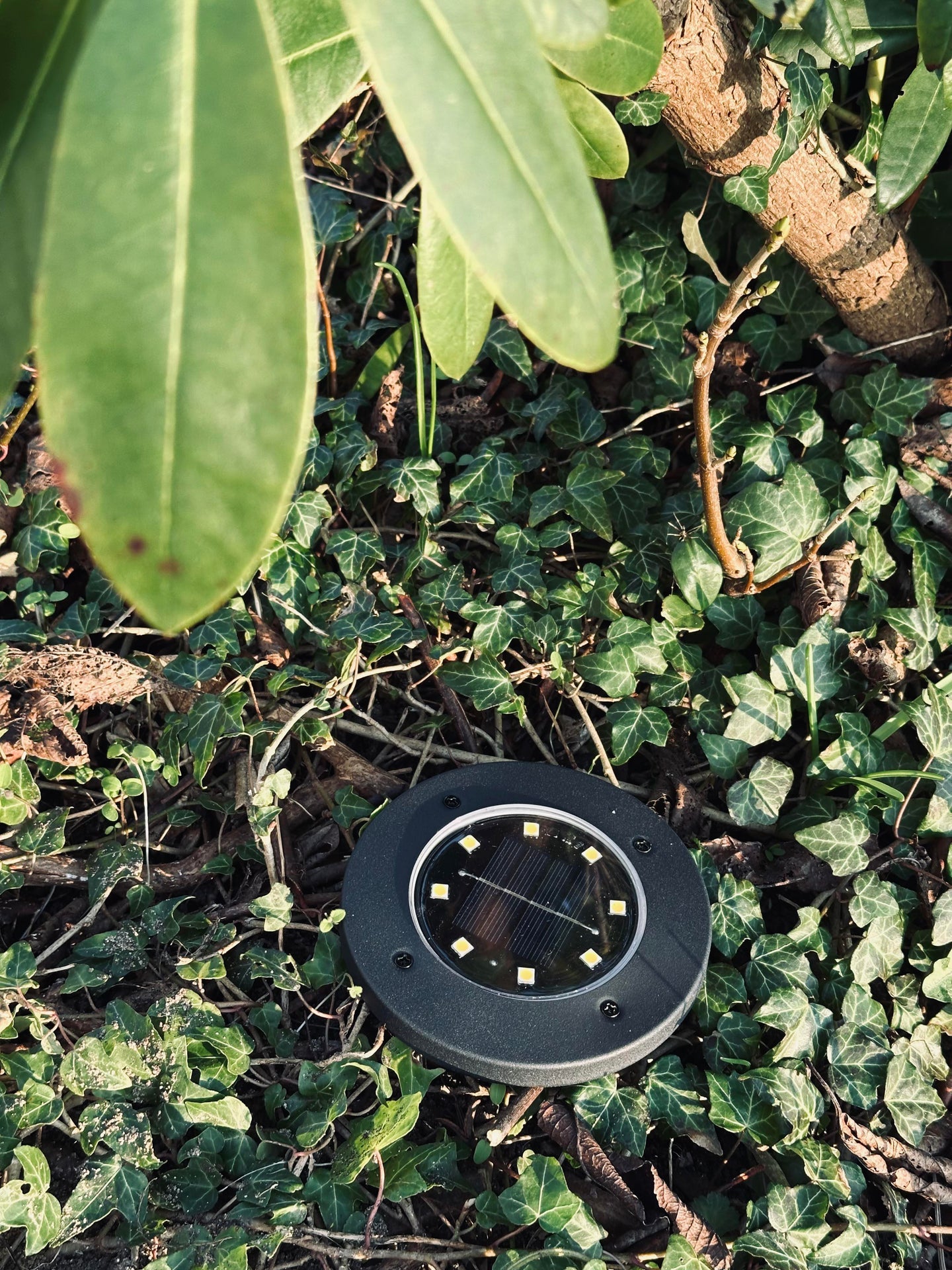 Solar-Spots BLACK – Set mit 4 Stk.