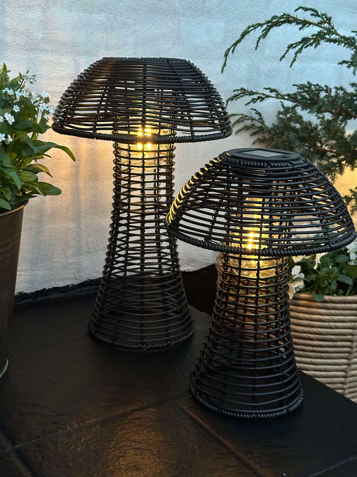 Mushroom Solar - Black Large