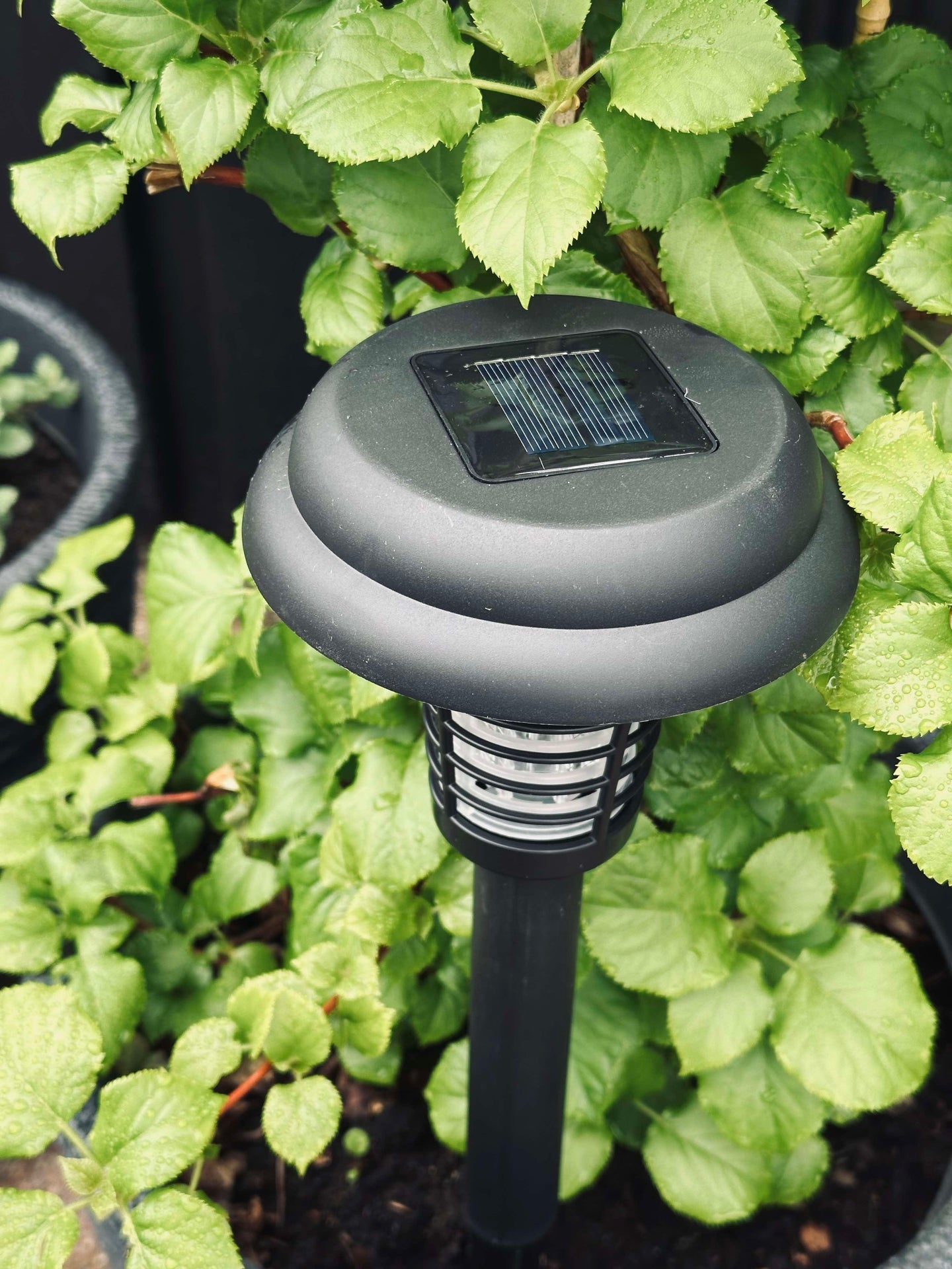Fackel MOSQUITO 2IN1 SOLAR