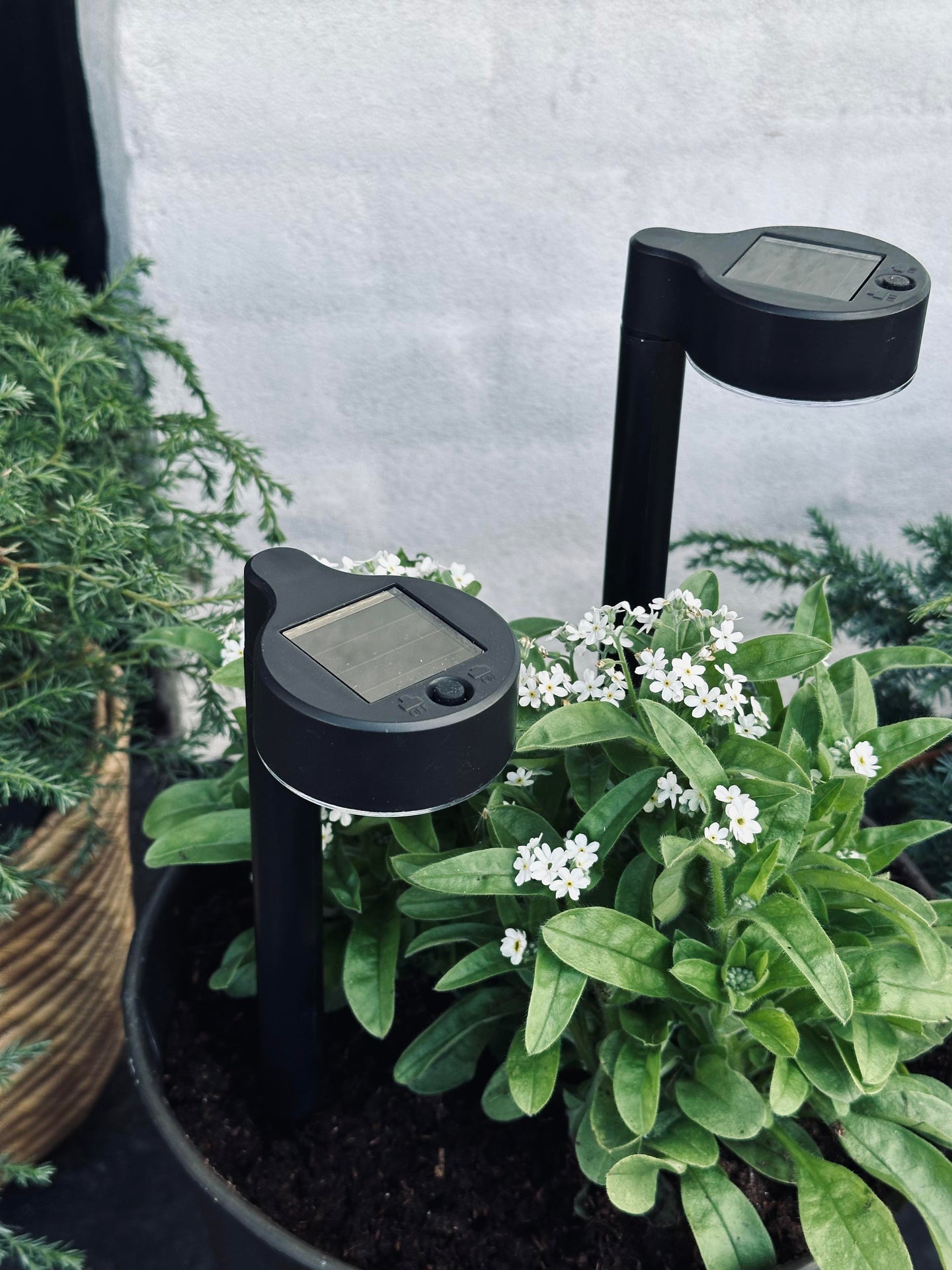 Gartenlampe Nancy mit Solar – Set mit 4 Stück.