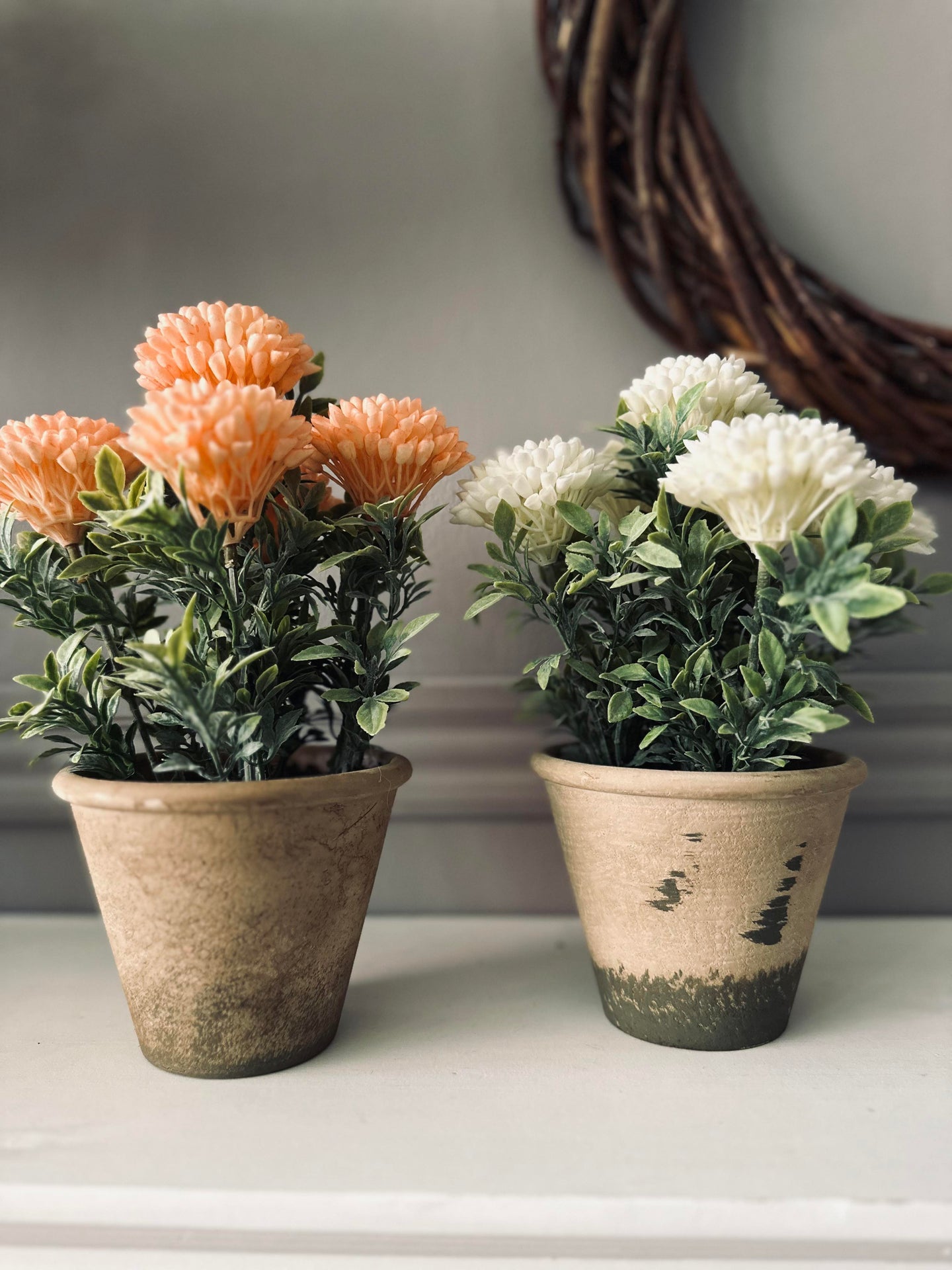 Blume im rustikalen Topf - Weiß