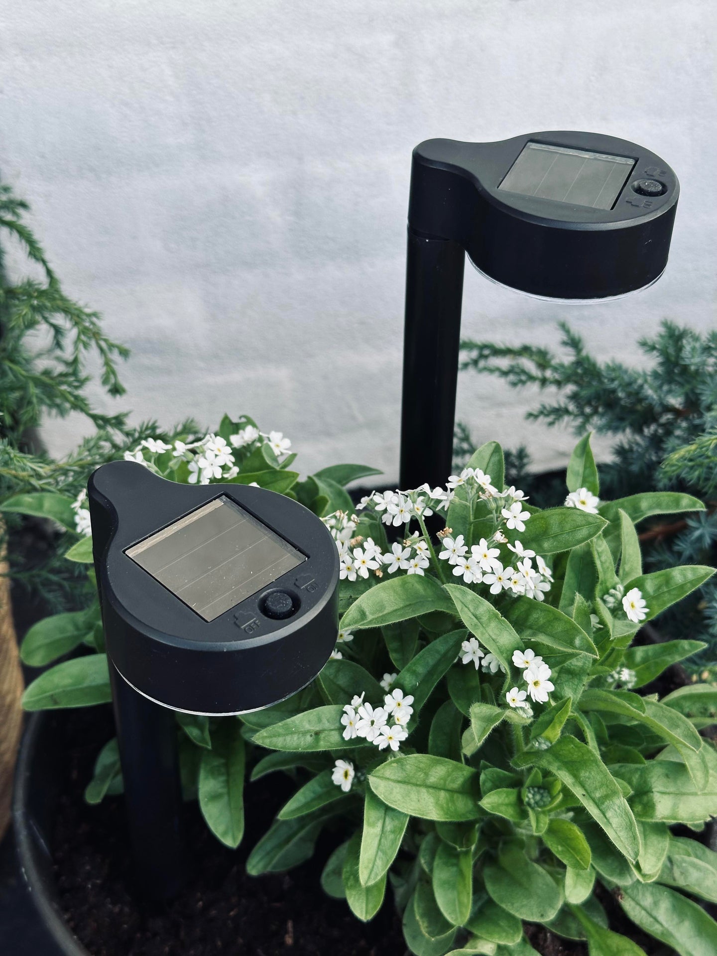 Gartenlampe Nancy mit Solar – Set mit 4 Stück.