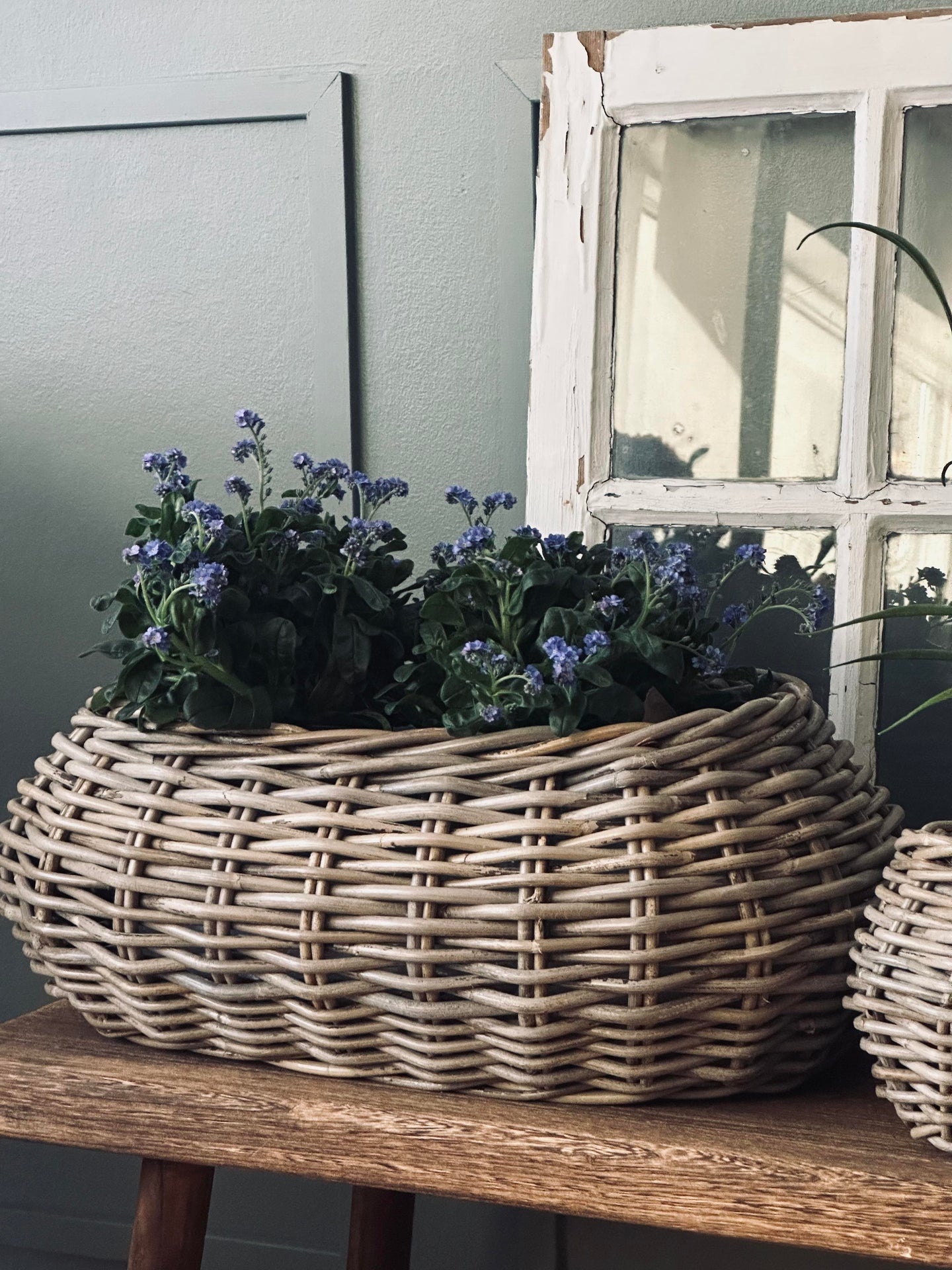 Pflanzenkörbe - Set mit 2 Stk. Ovales Rattan