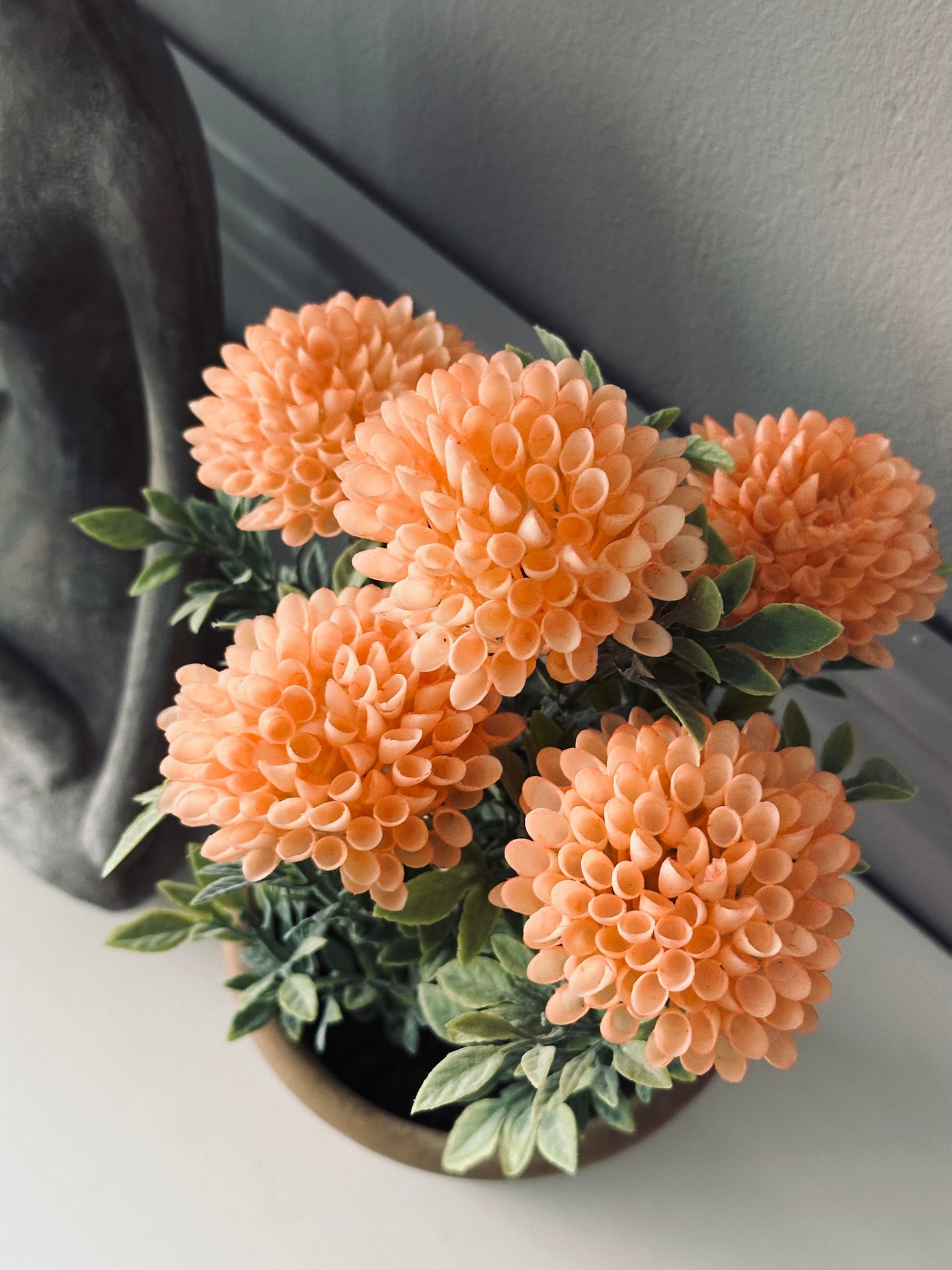 Blume im rustikalen Topf - Coral