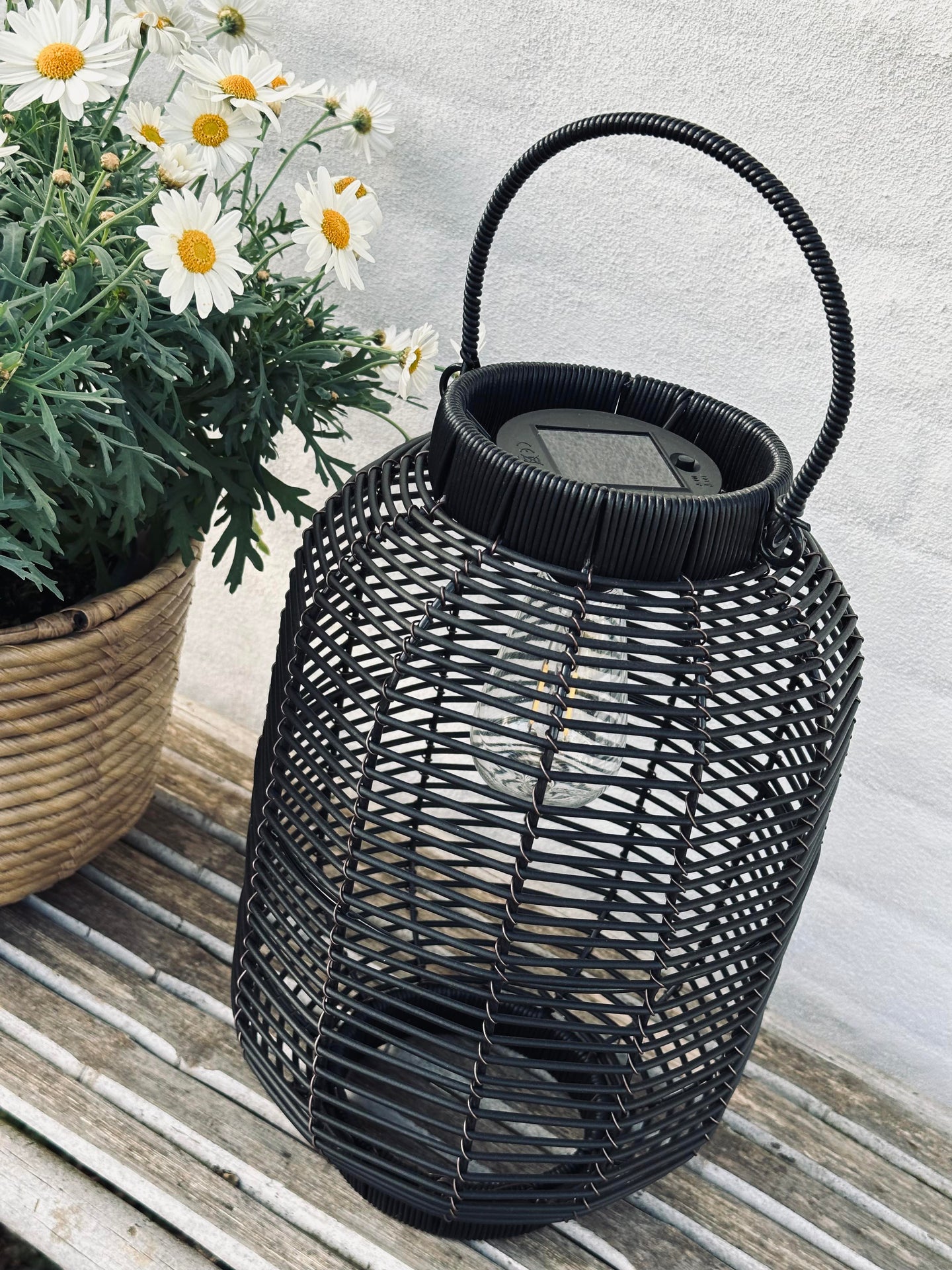 Laterne Solar Molly Black