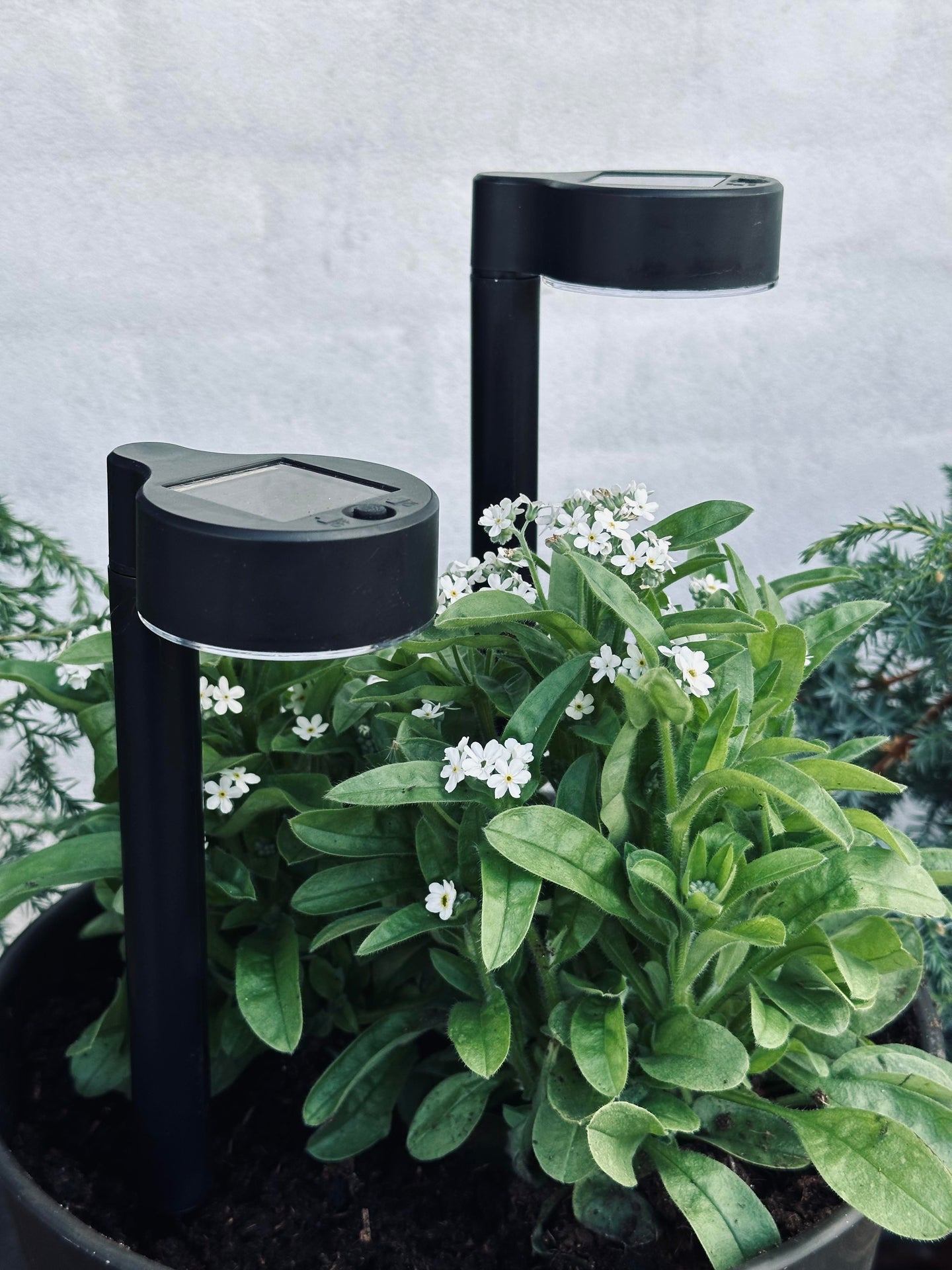 Gartenlampe Nancy mit Solar – Set mit 4 Stück.