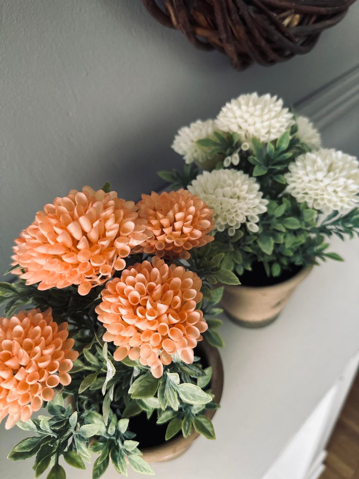 Blume im rustikalen Topf - Coral