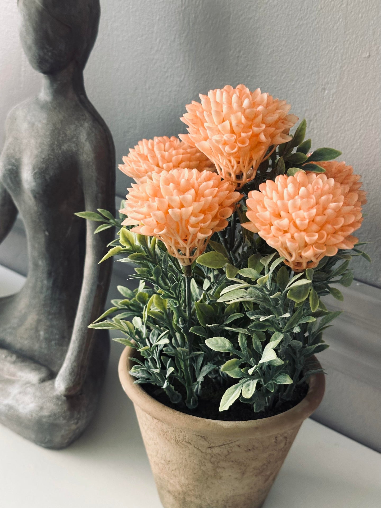 Blume im rustikalen Topf - Coral