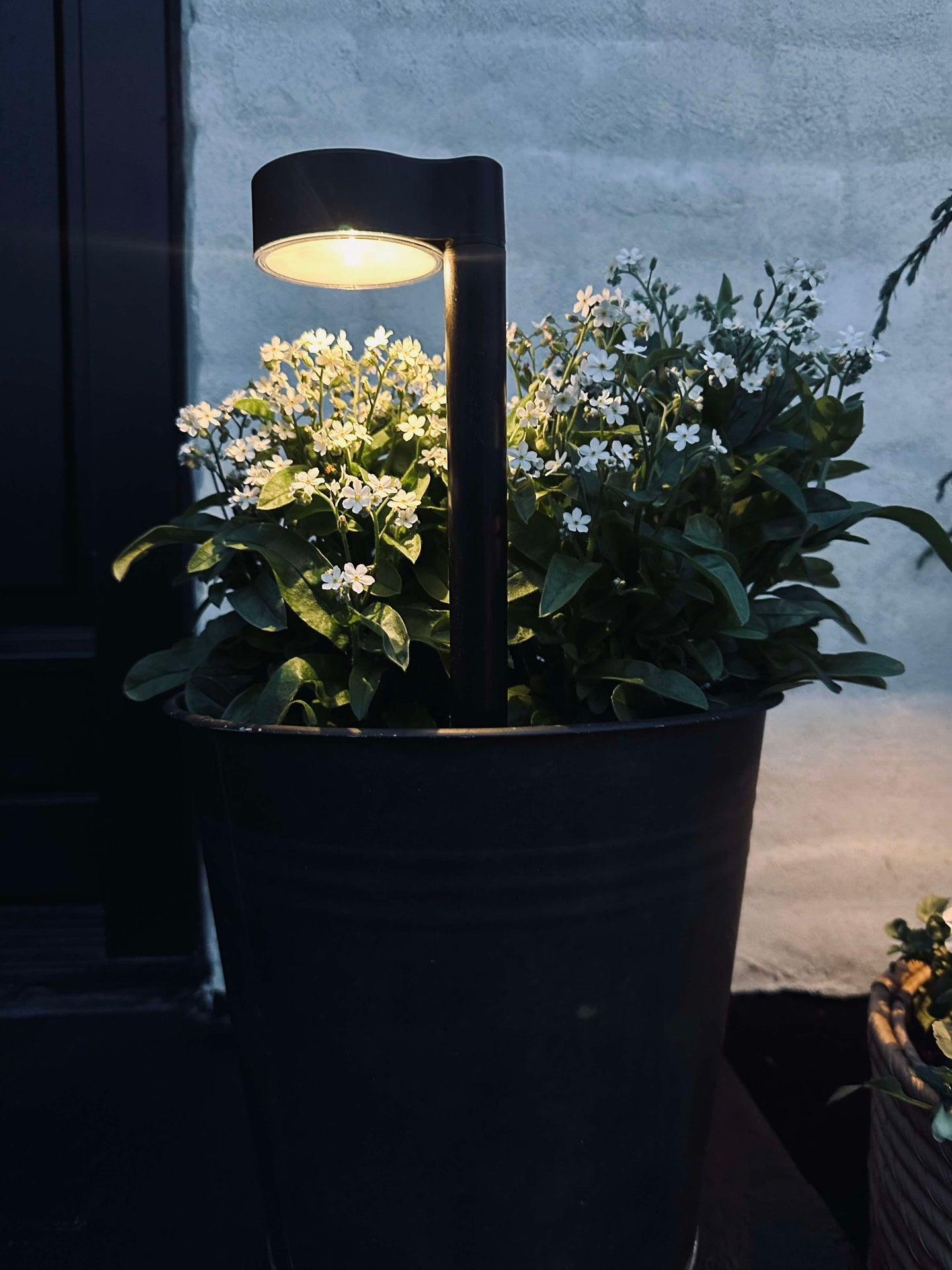 Gartenlampe Nancy mit Solar – Set mit 4 Stück.