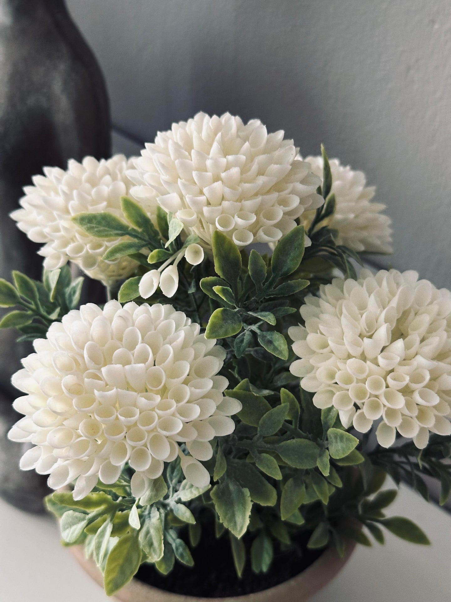 Blume im rustikalen Topf - Weiß