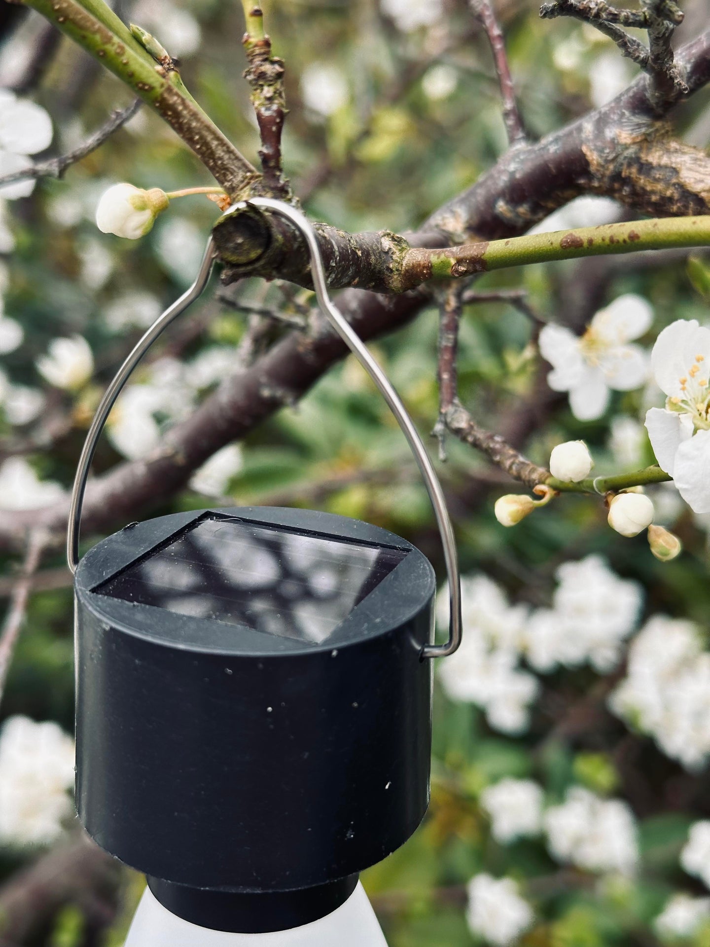 Mini-Lampe mit Solar