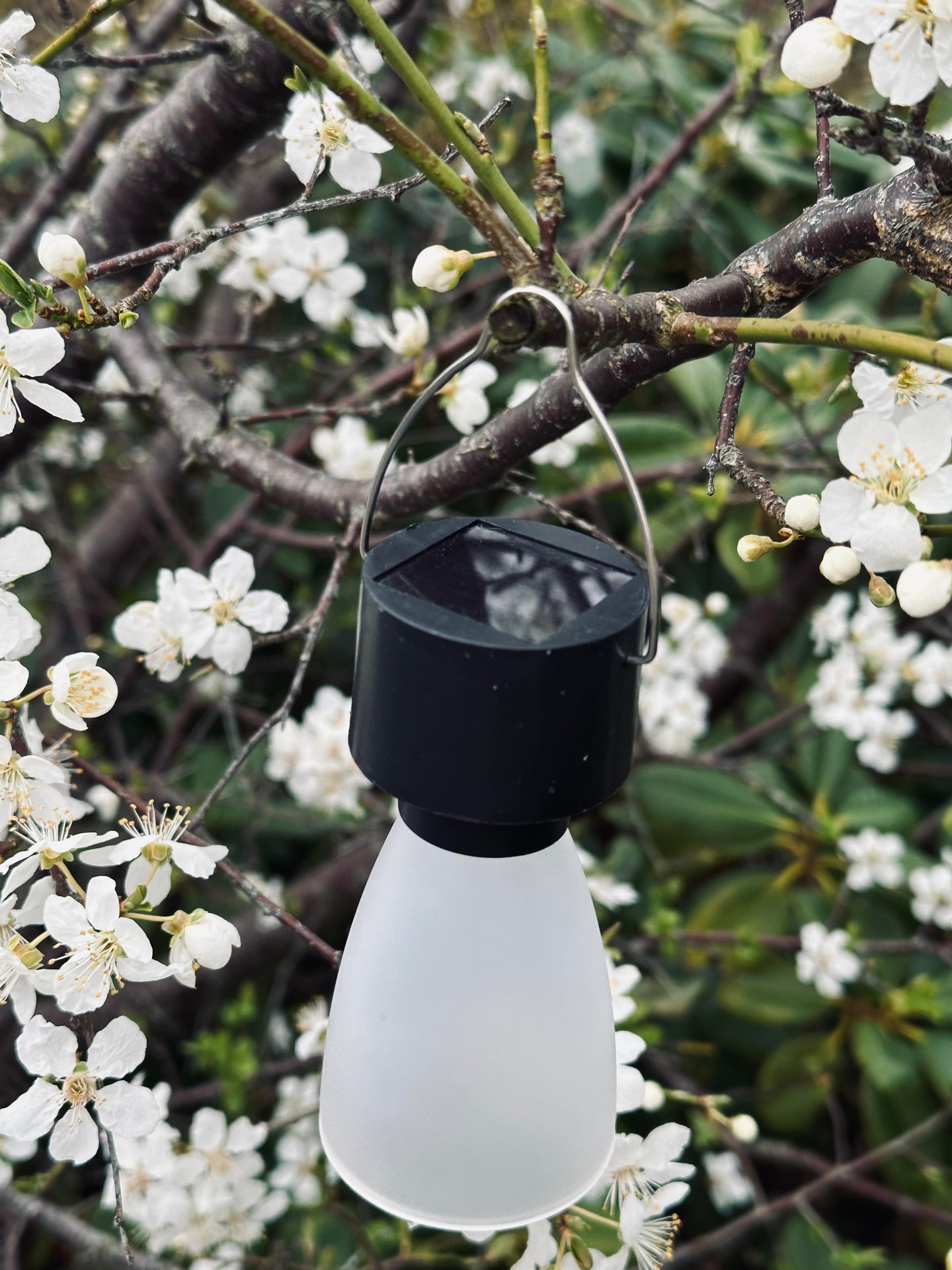 Mini-Lampe mit Solar