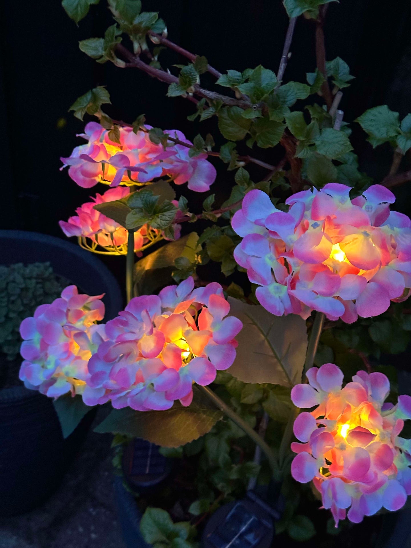 Hortensie mit Solarzellen – Hellrosa