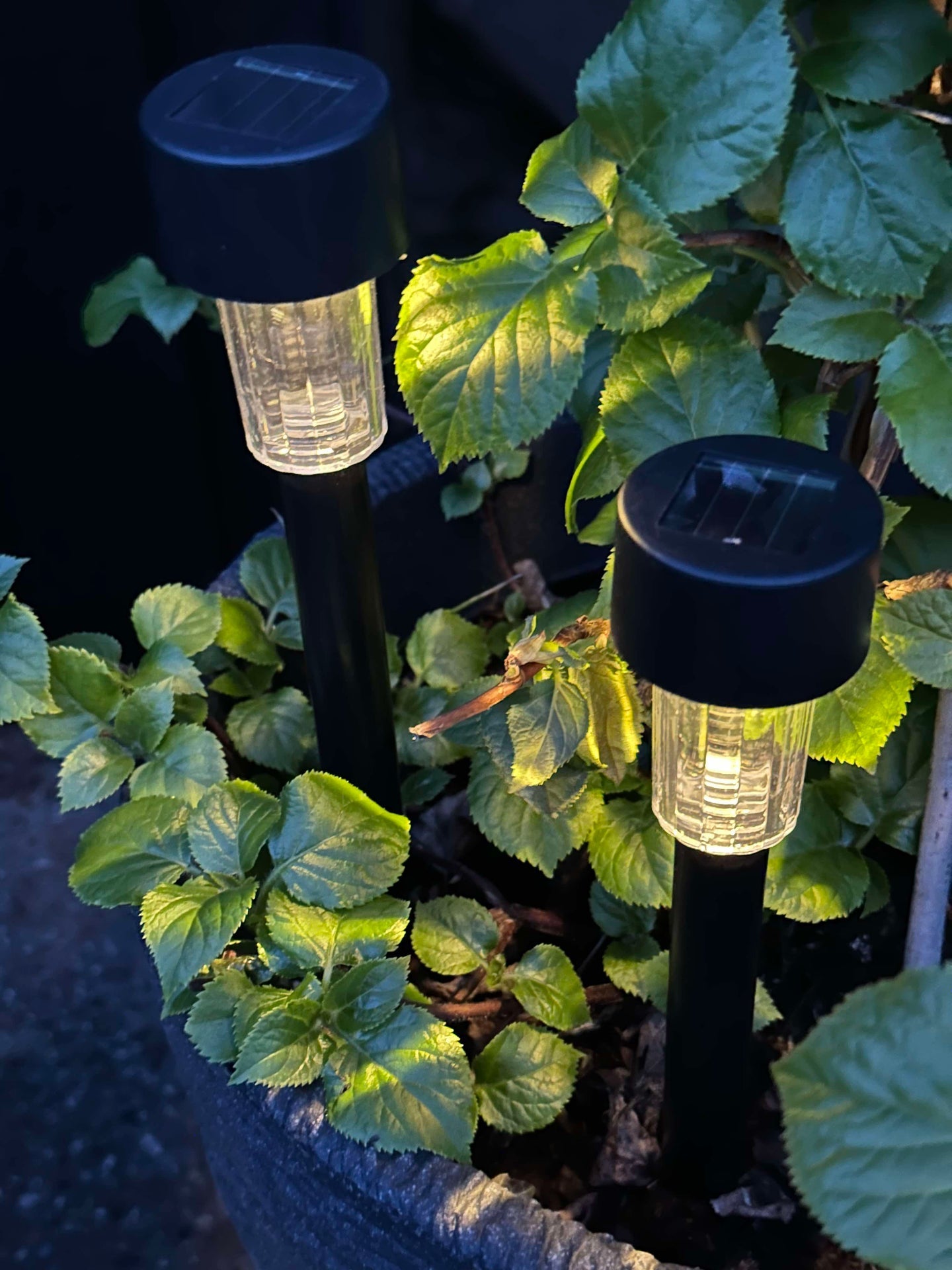 Fackel Effekt Black – Set mit 4 Stk