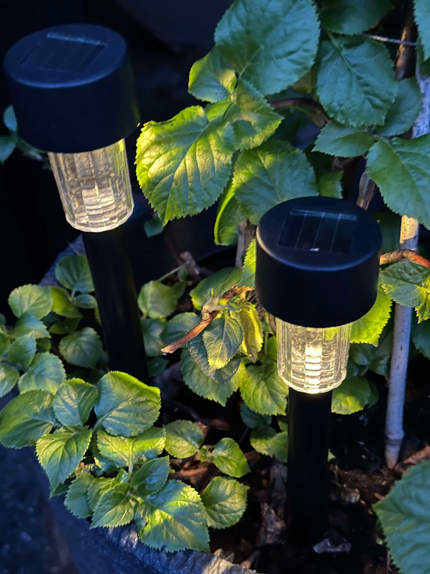 Fackel Effekt Black – Set mit 4 Stk