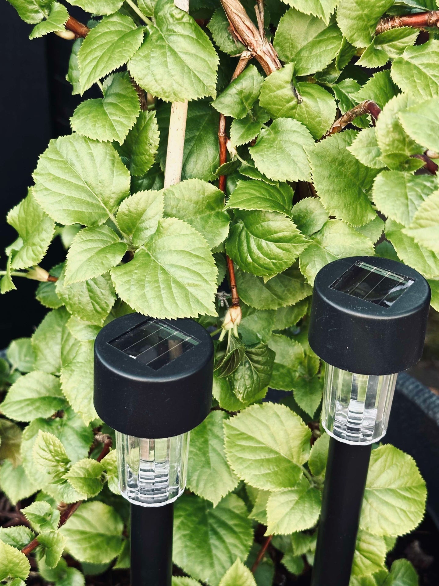 Fackel Effekt Black – Set mit 4 Stk