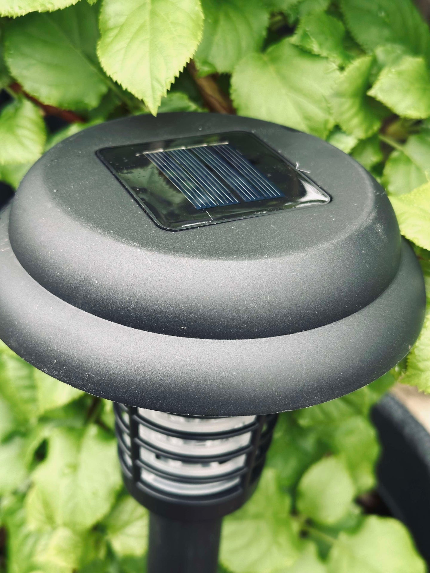 Fackel MOSQUITO 2IN1 SOLAR