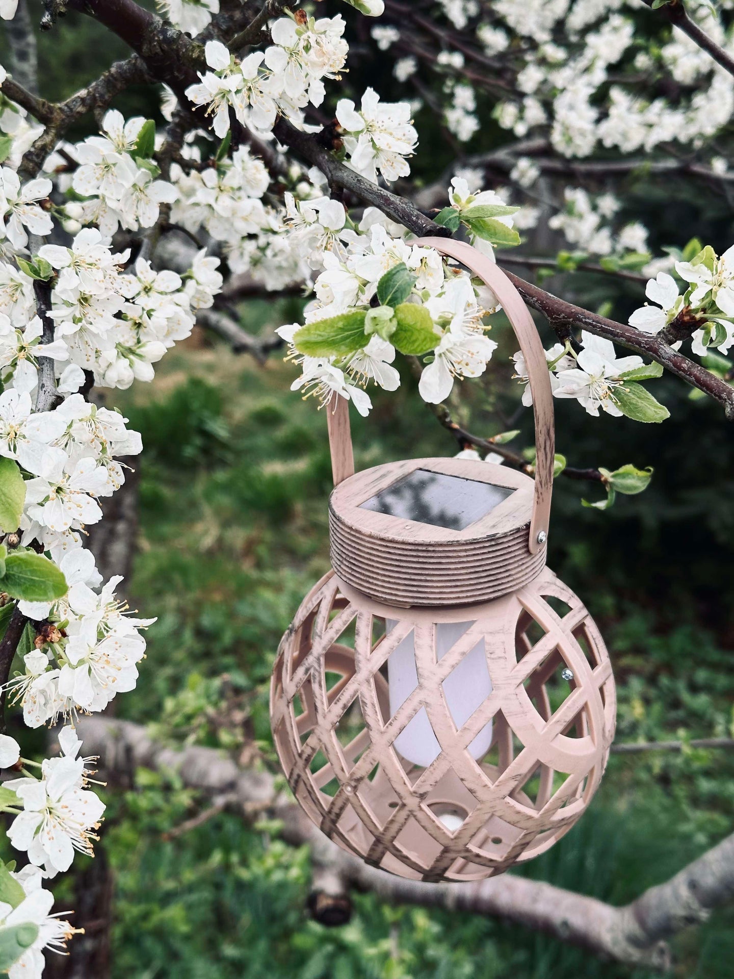Laterne mit Aufhängung - Solarlampe