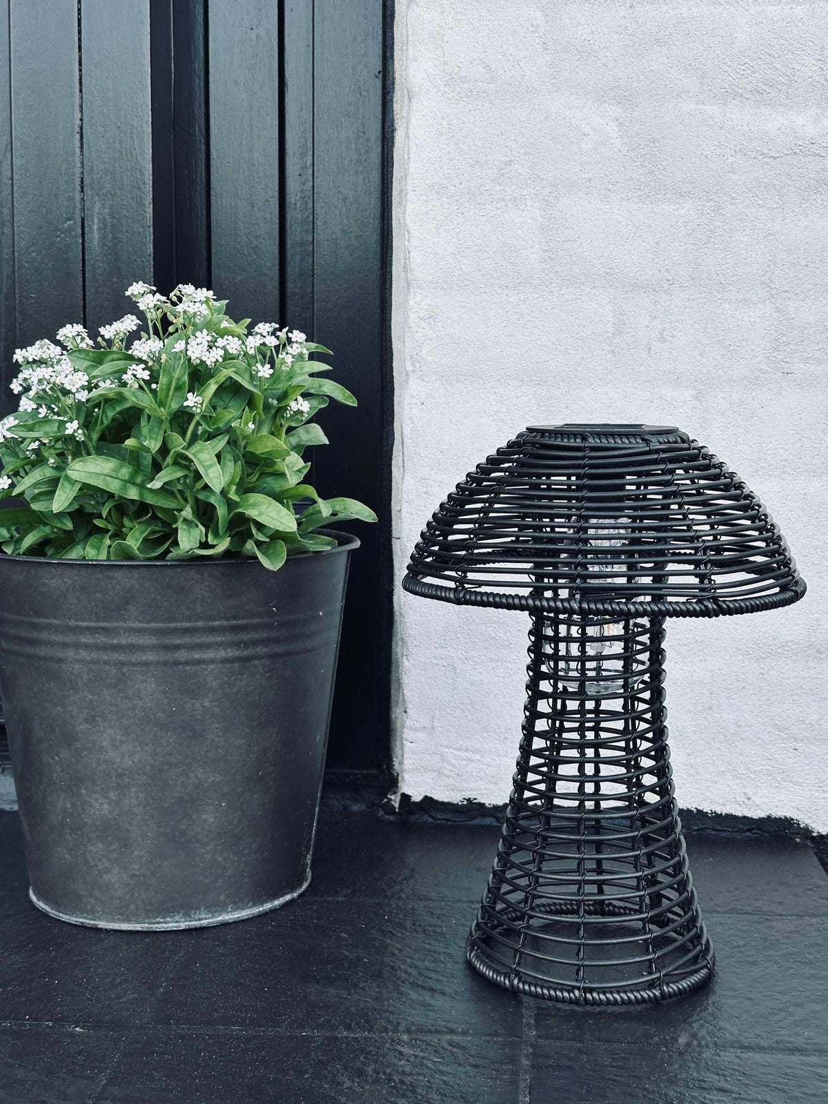Mushroom Solar - Black Small