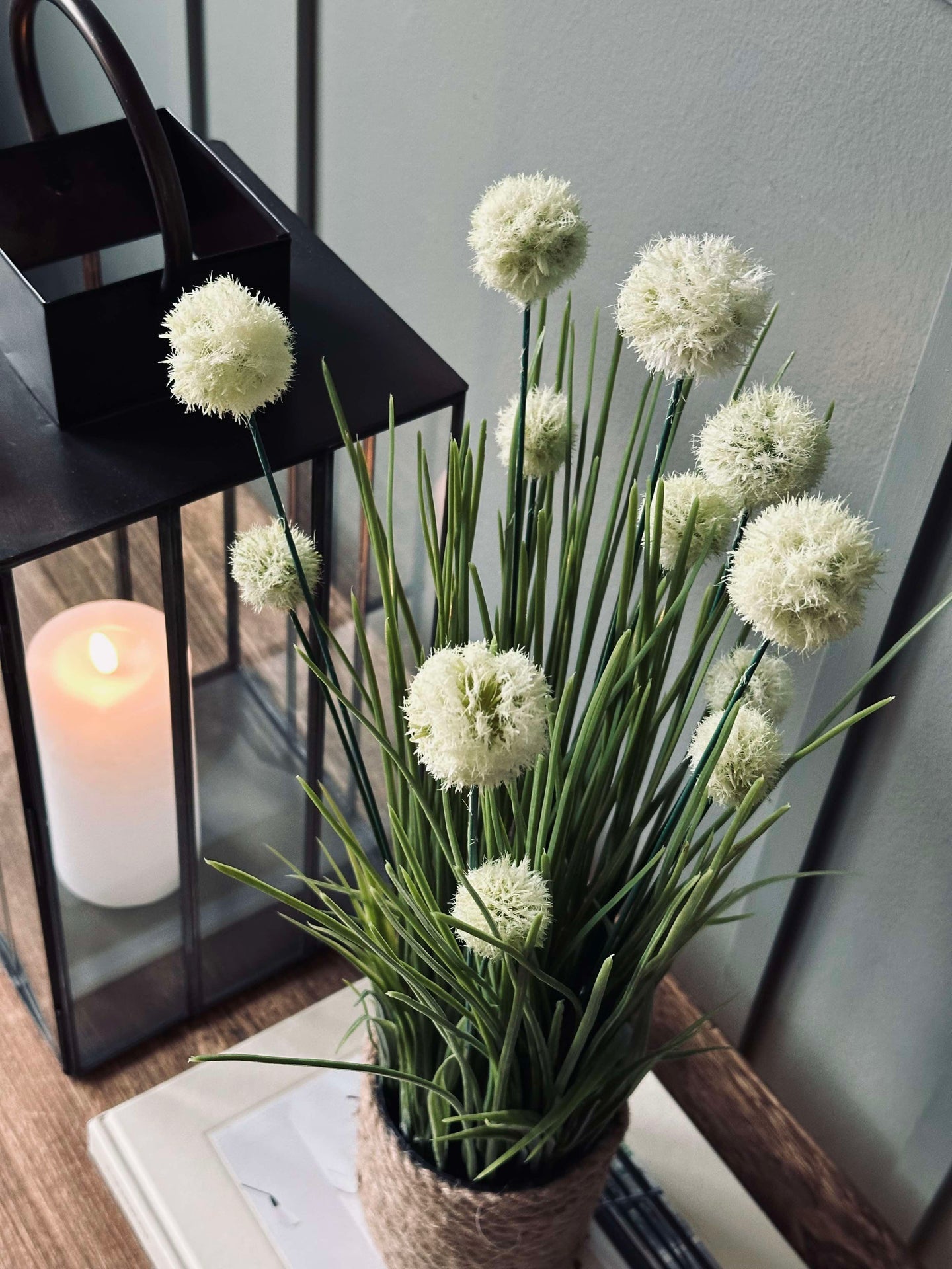 Blume im Topf