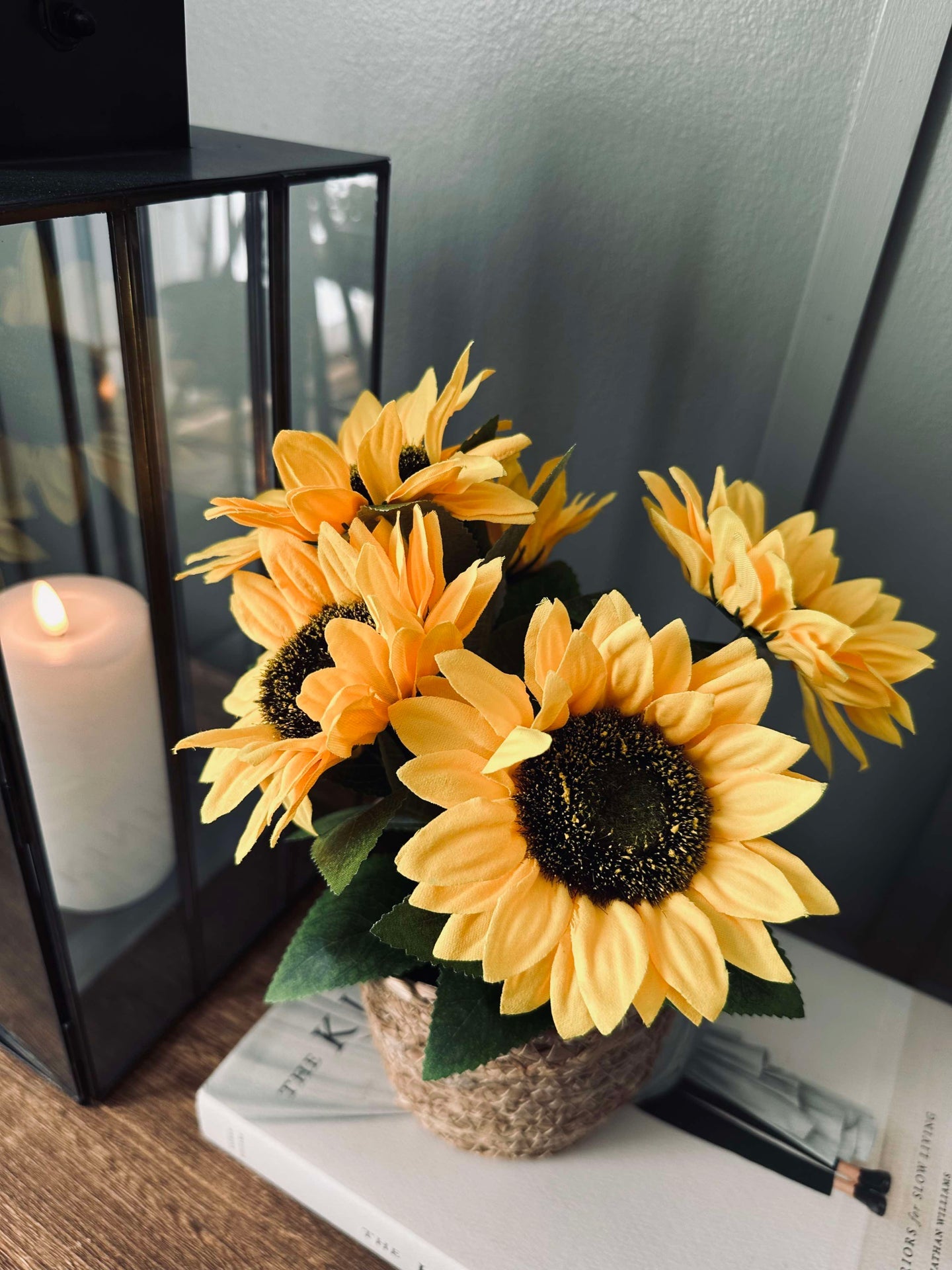 Sonnenblume im Topf