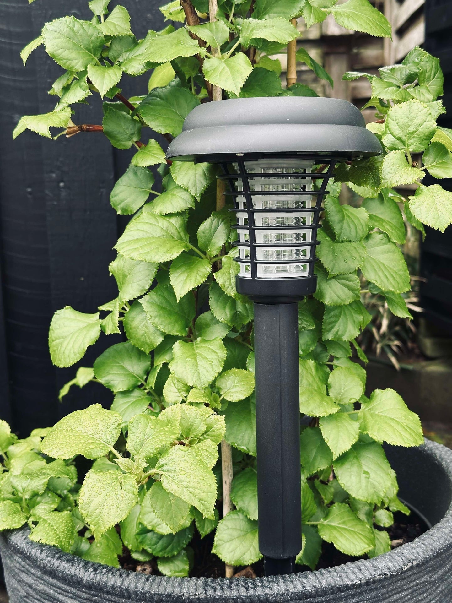 Fackel MOSQUITO 2IN1 SOLAR