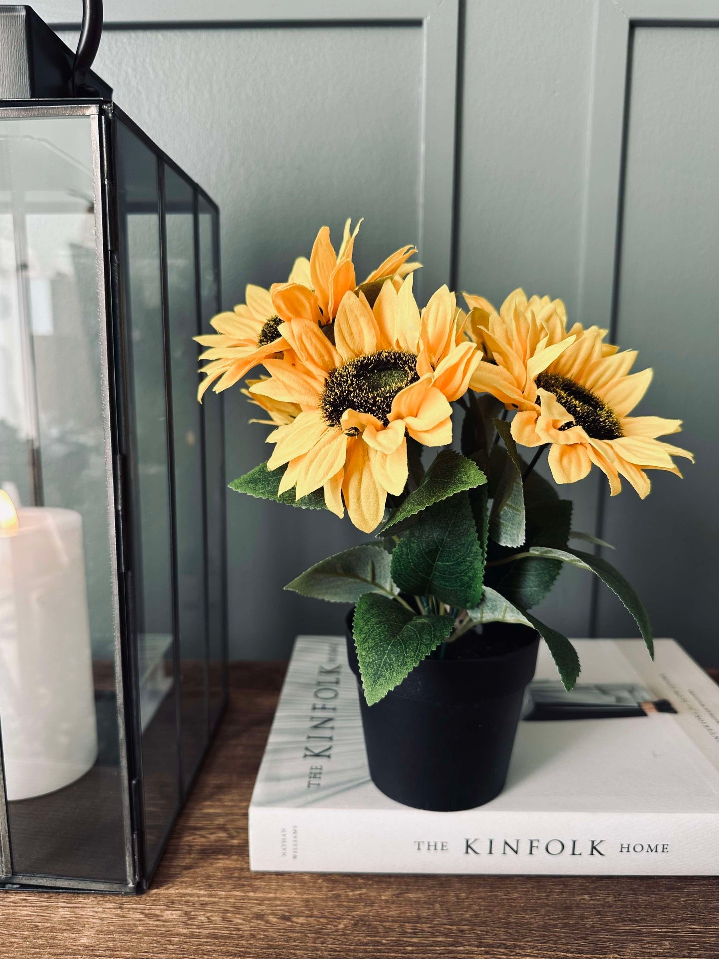 Sonnenblume im Topf