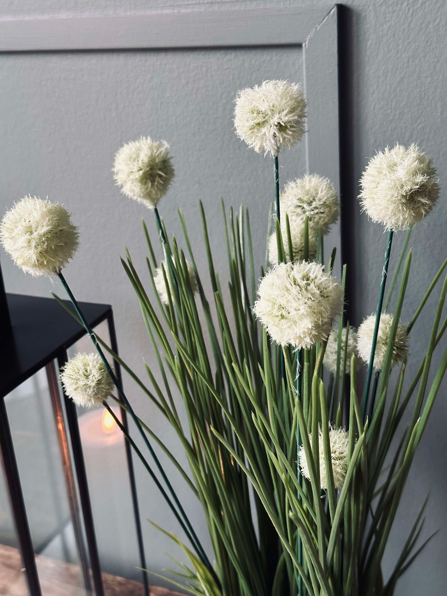 Blume im Topf