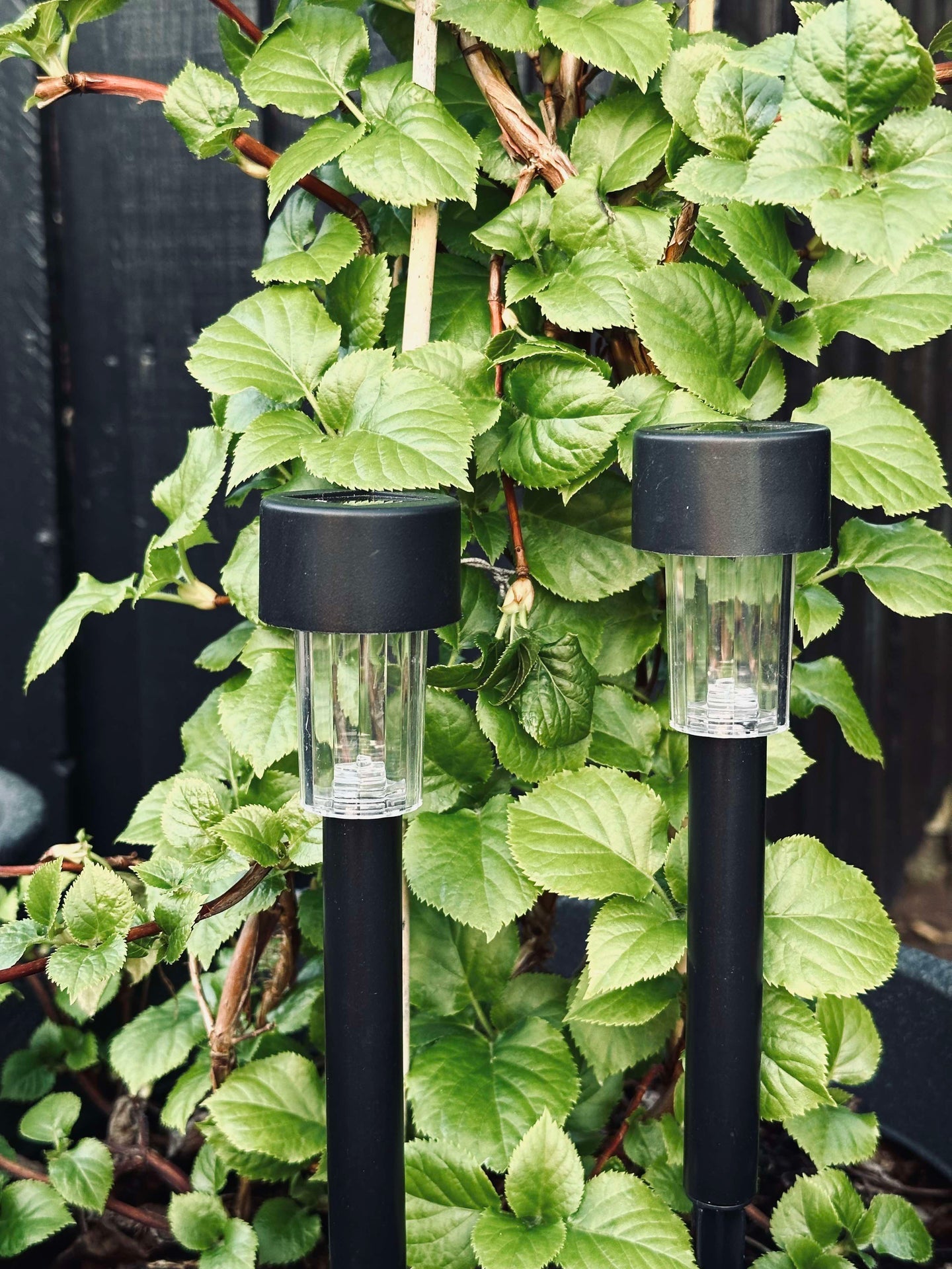 Fackel Effekt Black – Set mit 4 Stk