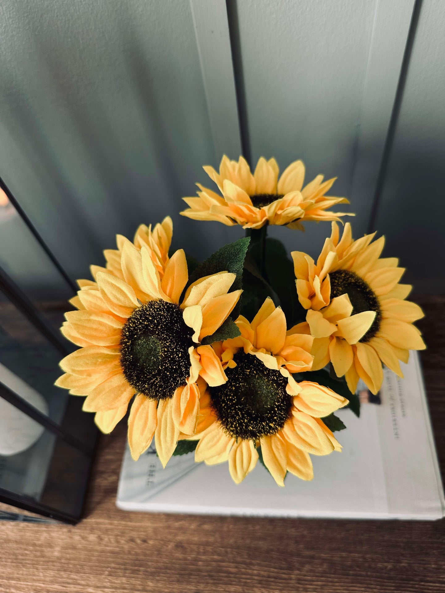 Sonnenblume im Topf