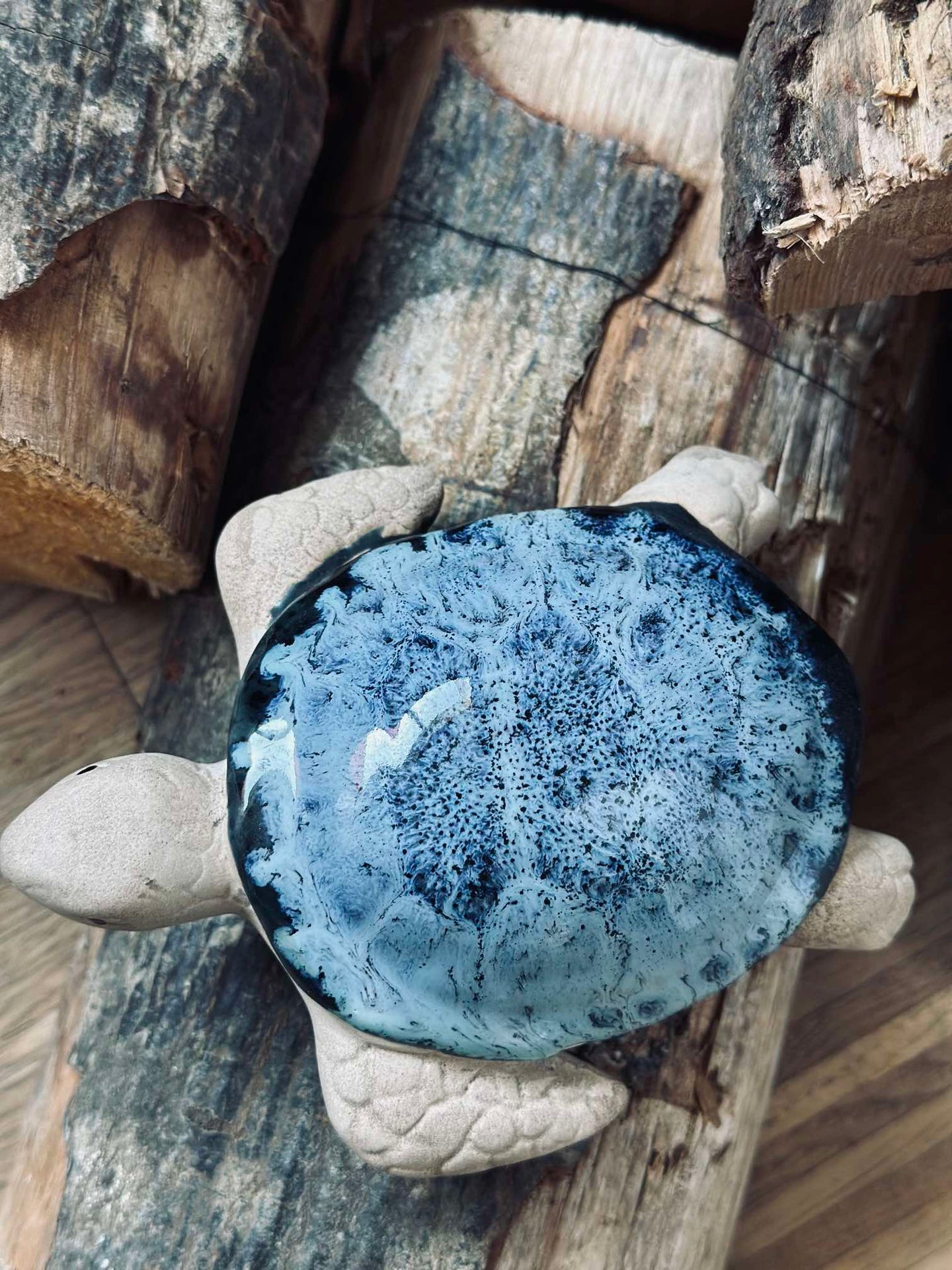 Schildkröte MIX