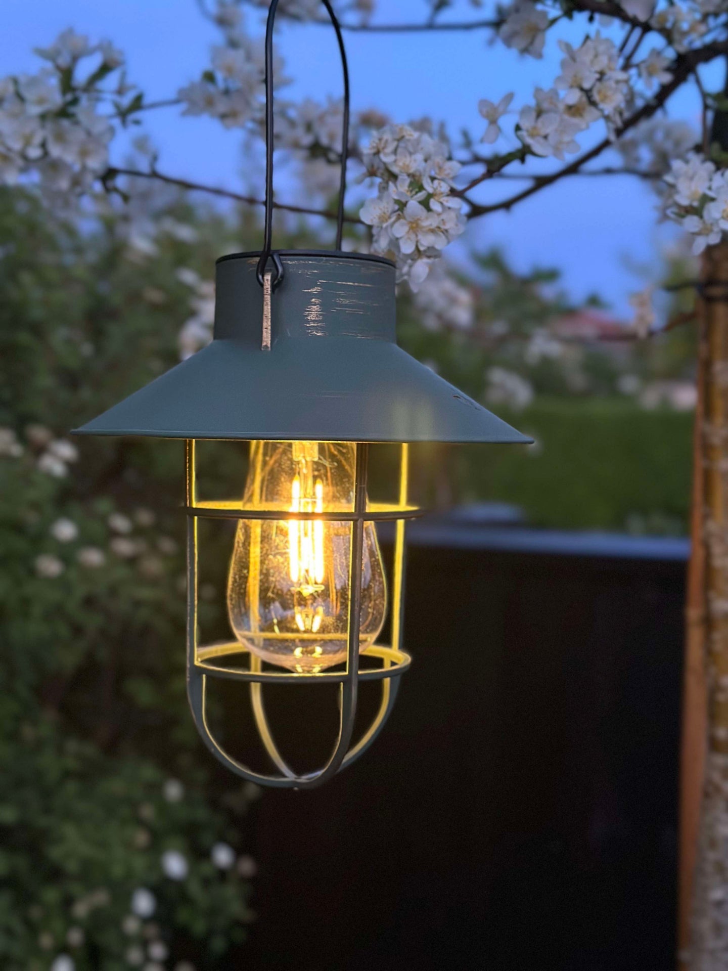 Solar-Lampe mit Aufhängung - Grün / Gold