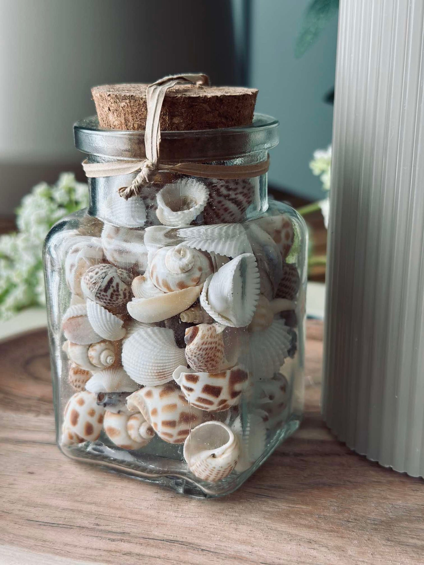 Muscheln aus Glas - Mix
