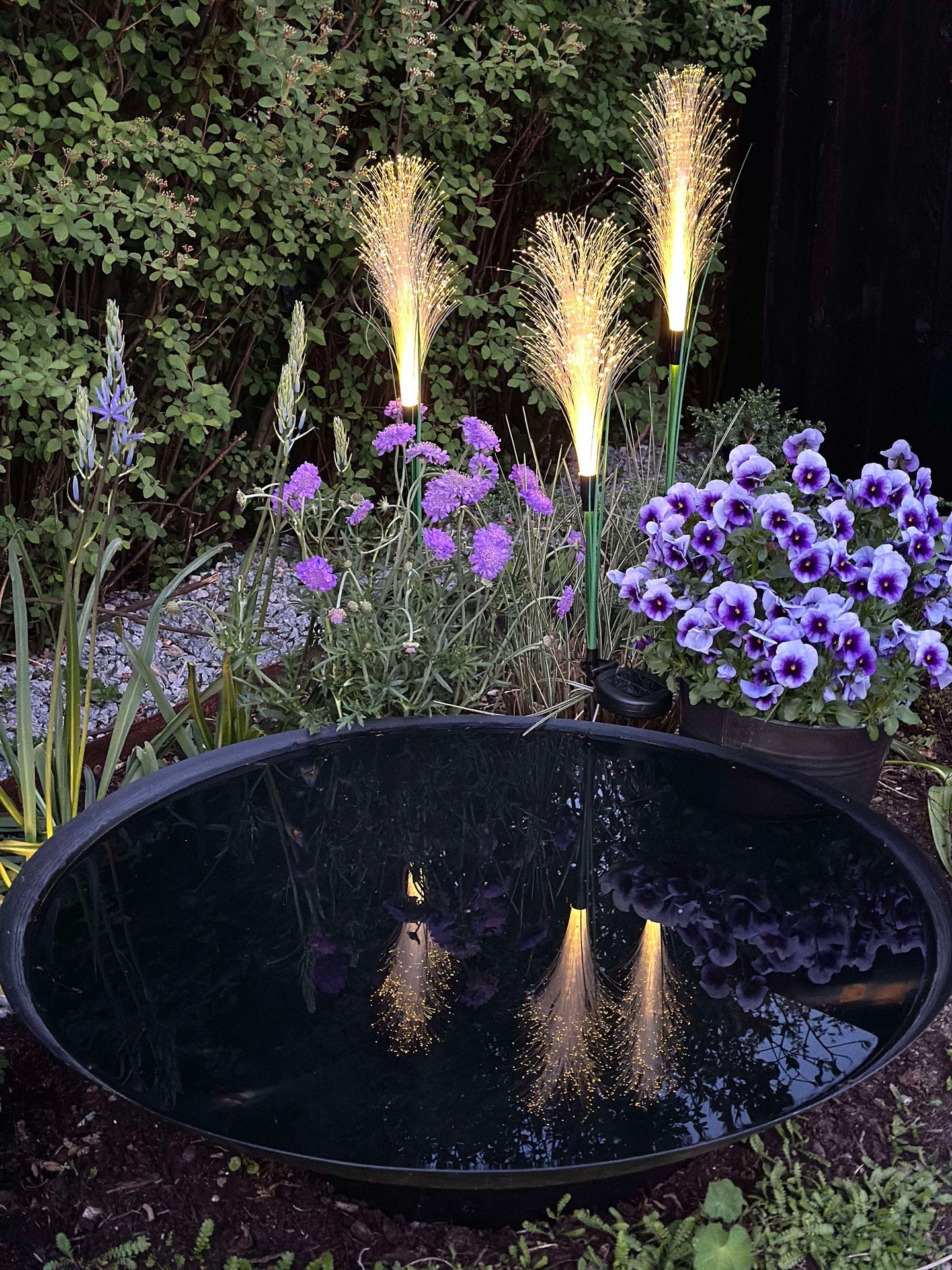 Pampas mit Solar