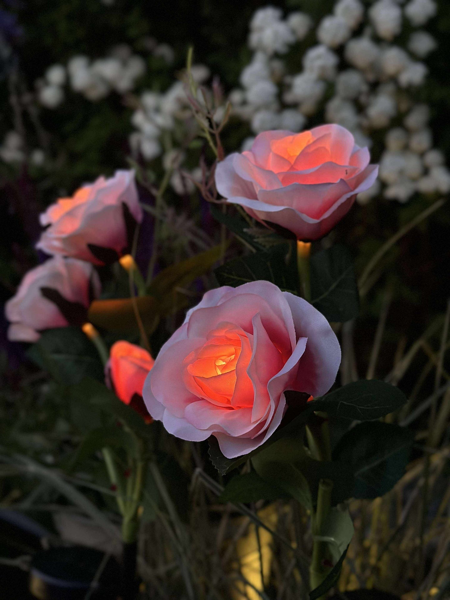 Rose mit Solarzellen - Rosa