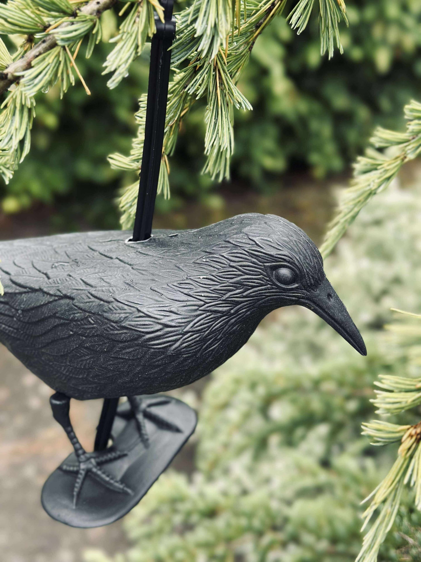 Vogel aus schwarzem Kunststoff