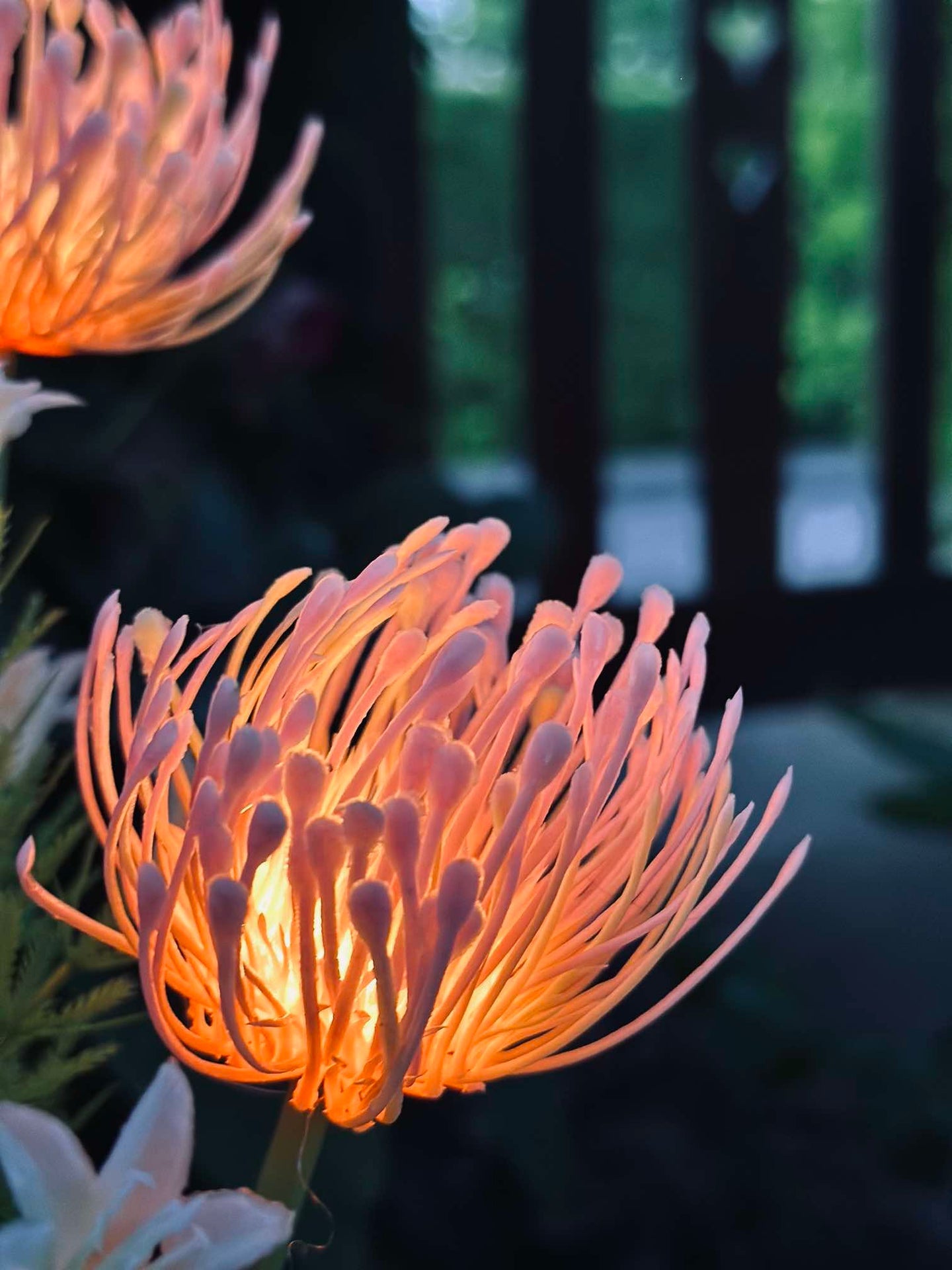 Blume mit Solarzellen - Spider Lili Rosa