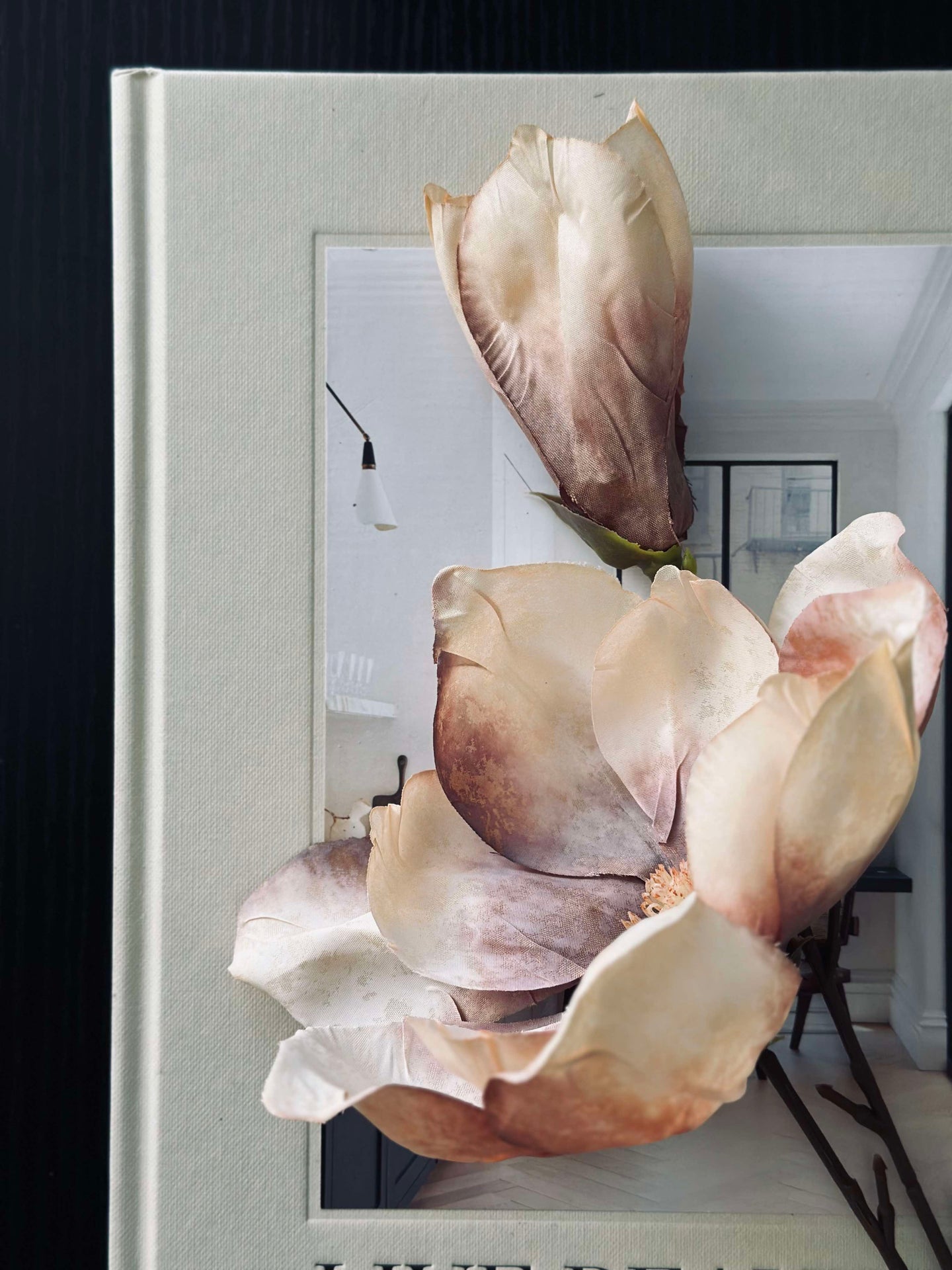 Magnolienstiel