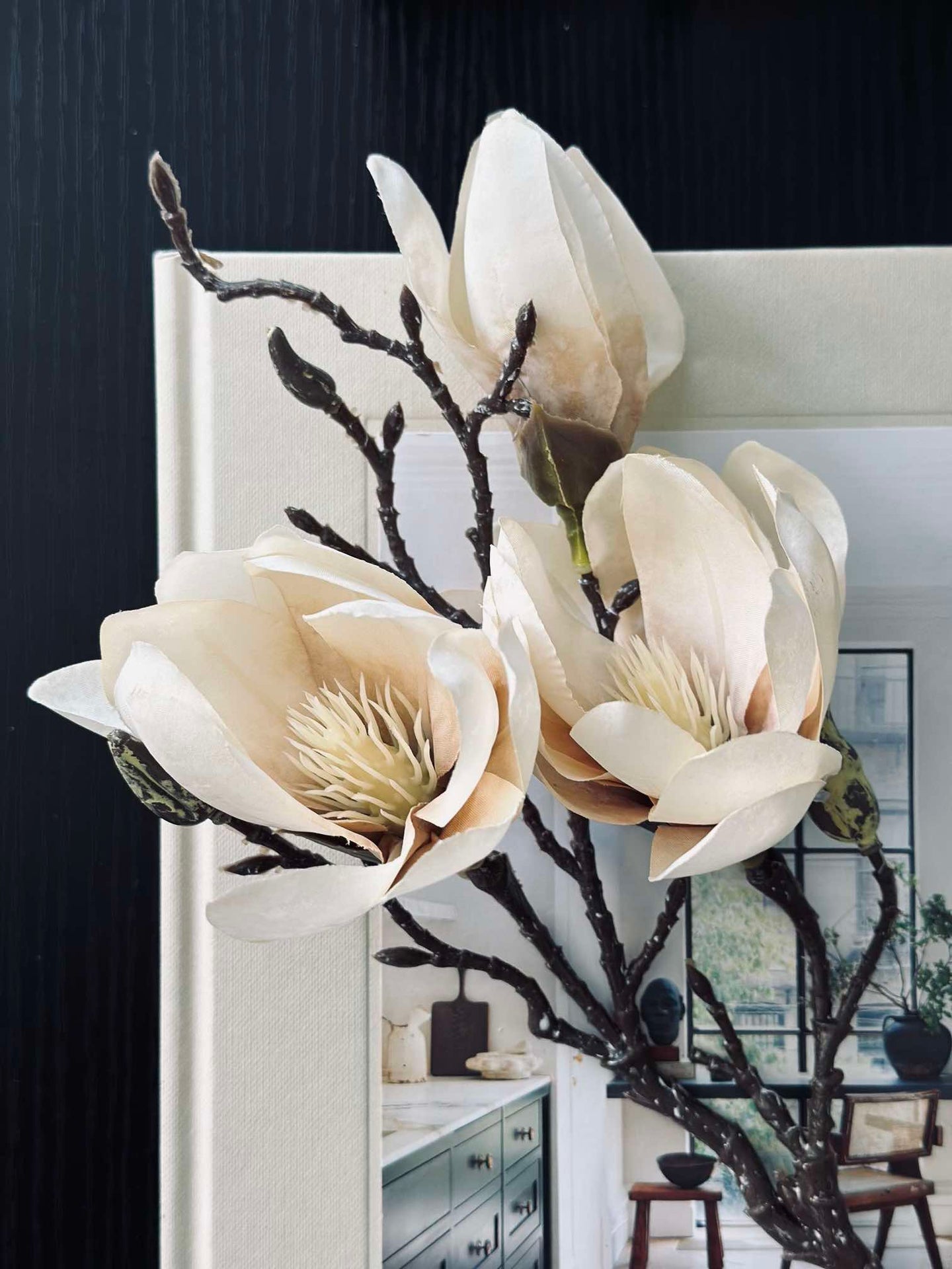 Magnolienstängel